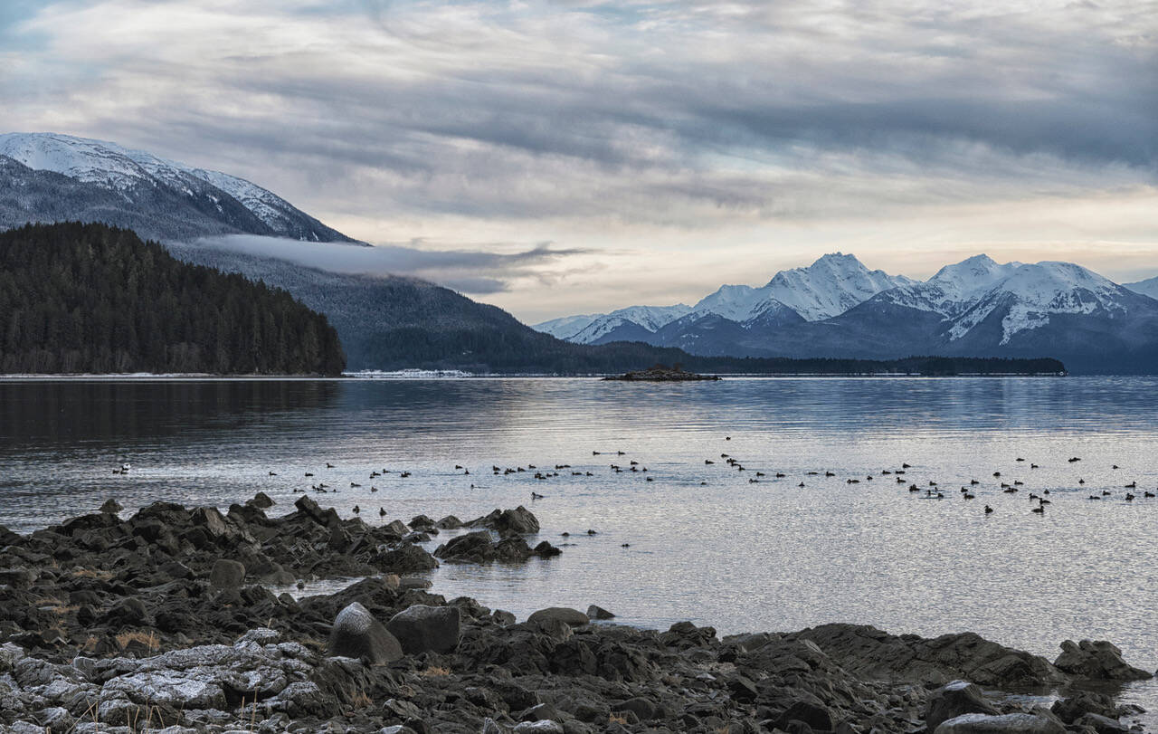 A raft of ducks off Point Louisa with Eagle Peak, on Admiralty National Monument around dusk in Juneau winter. (Courtesy Photo / Kenneth Gill, gillfoto)