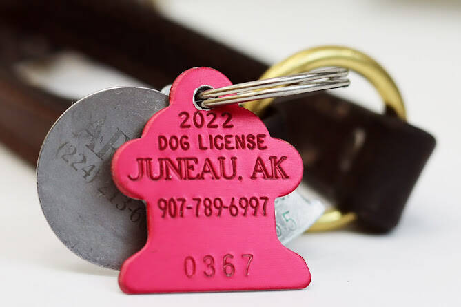 City and Borough of Juneau ordinances require that all dogs over six months old and residing in Juneau for more than 30 days must be registered with Juneau Animal Rescue by Jan. 1 each year. This picture shows the 2022 tag issued to registered dogs. (Ben Hohenstatt/Juneau Empire)