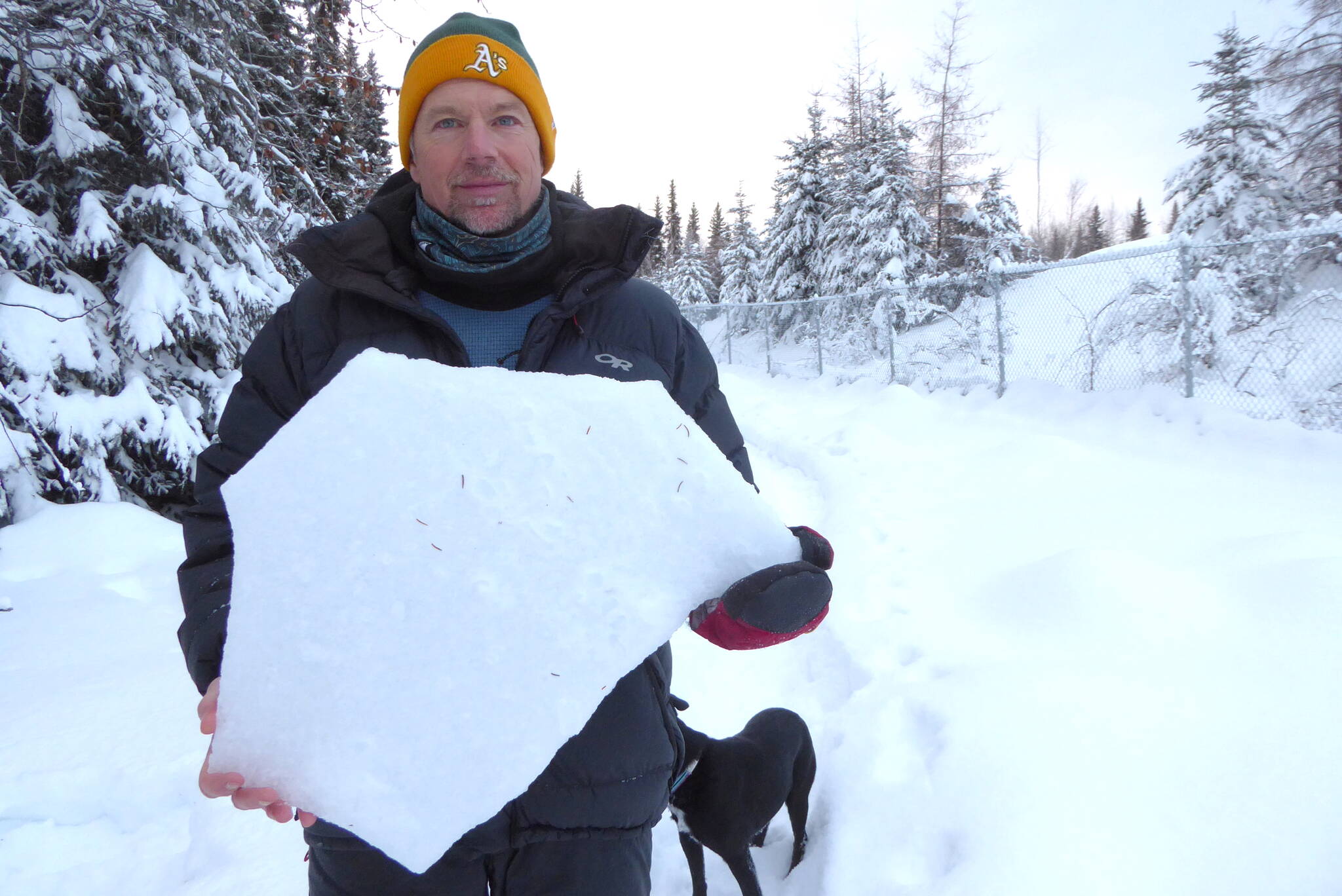 Ned Rozell holds a shard of ice crust, one-inch thick, that lurks in the middle of the Fairbanks snowpack. (Courtesy Photo / Kristen Rozell)