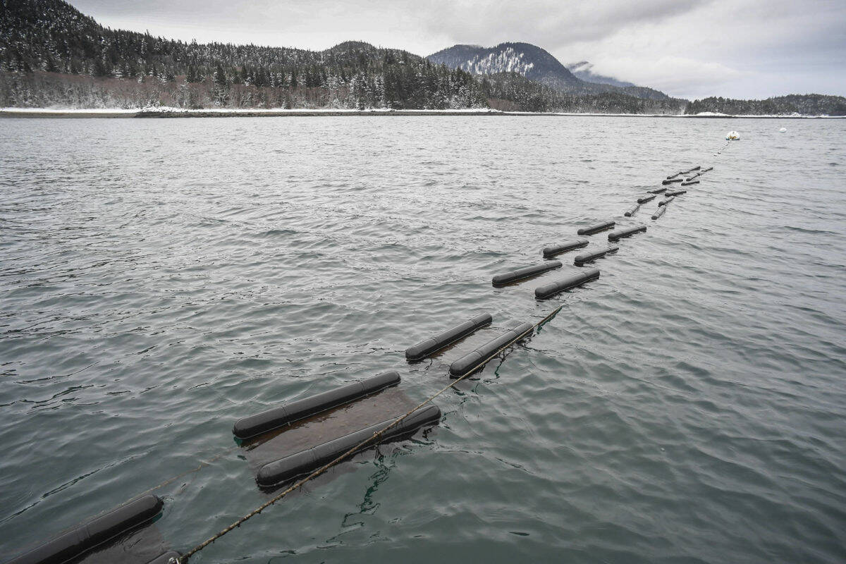 The U.S. Department of Agriculture announced this month a $500,000 grant to regional development corporation Southeast Conference to help design a processing facility on Prince of Wales Island to aid the mariculture industry there. The planned facility will help small mariculture farms, like this oyster farm north of Juneau seen in a February 2019 file photo, to process and ship their products. (Michael Penn / Juneau Empire file)