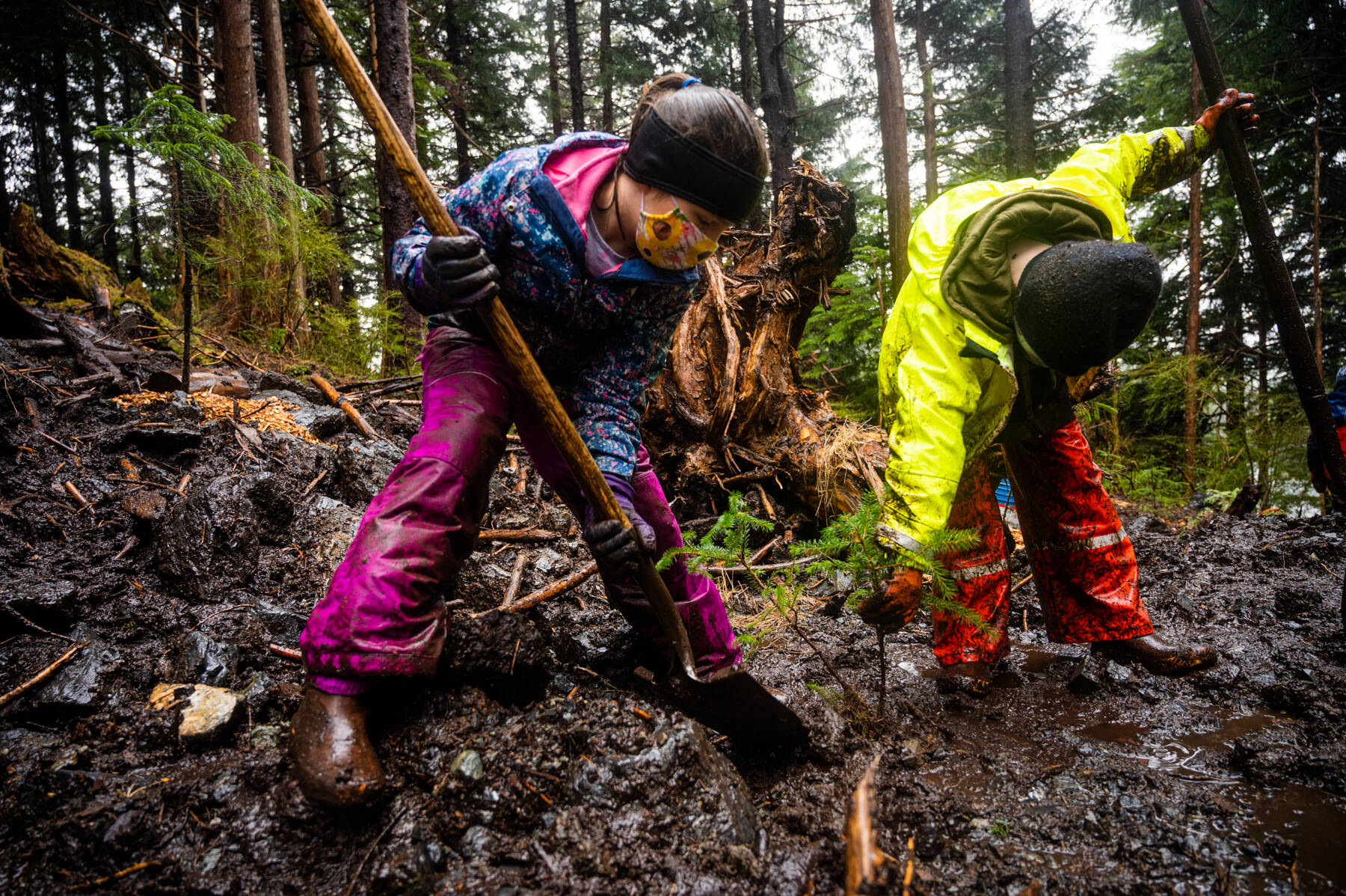 The Sitka Spruce Tips 4-H program plants trees in Sitka during a reforestation project. (Courtesy Photo / Lione Clare)