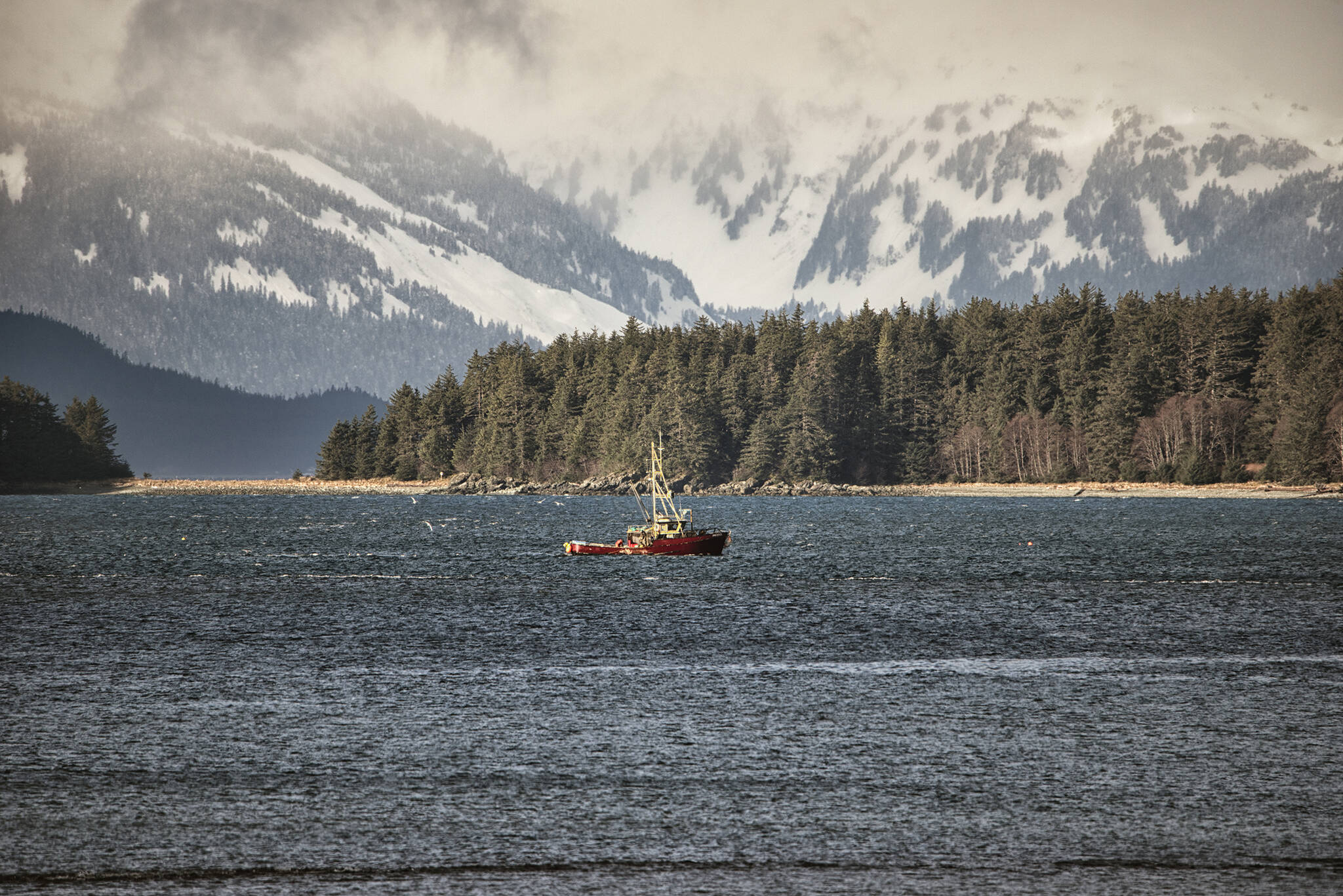 Commercial Fisher Phoenix leaning up Tanner Crab, south Benjamin Island with Chilkat Range, Southeast Alaska.