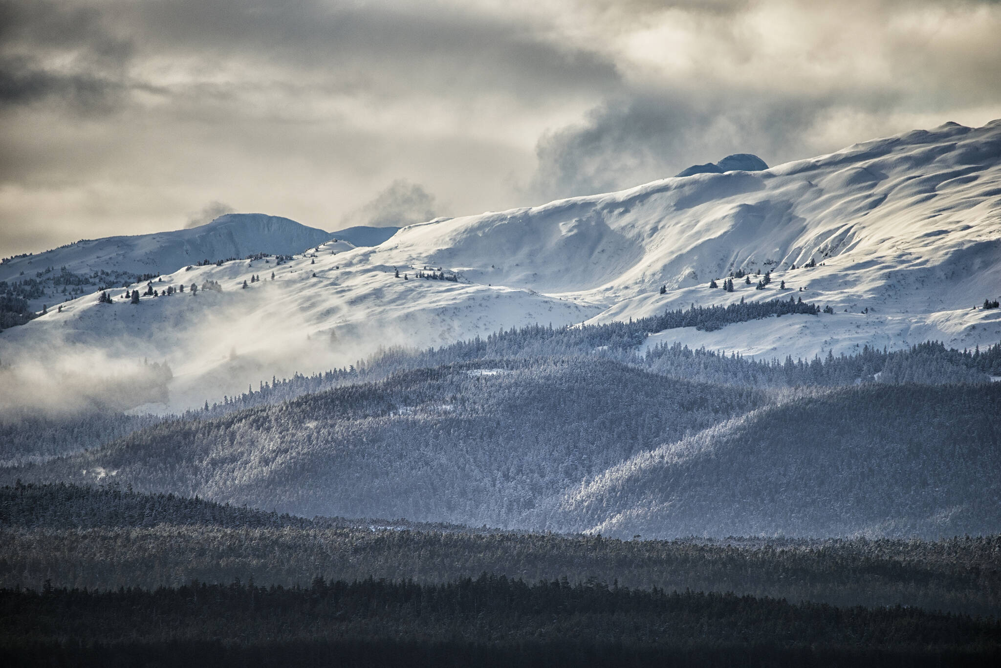 Winter southern Chilkat Range alpine meadows on Jan. 30. (Courtesy Photo / Kenneth Gill, gillfoto)