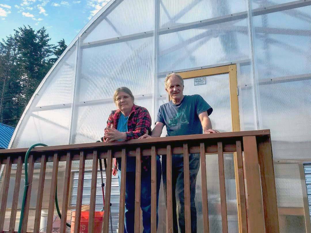 Courtesy photo / Megan Moody 
Carlene and Kevin Allred stand outside their greenhouse in Tenakee Springs. The couple is using geothermal heat from an underground spring to heat the greenhouse and grow greens and other produce for local residents.