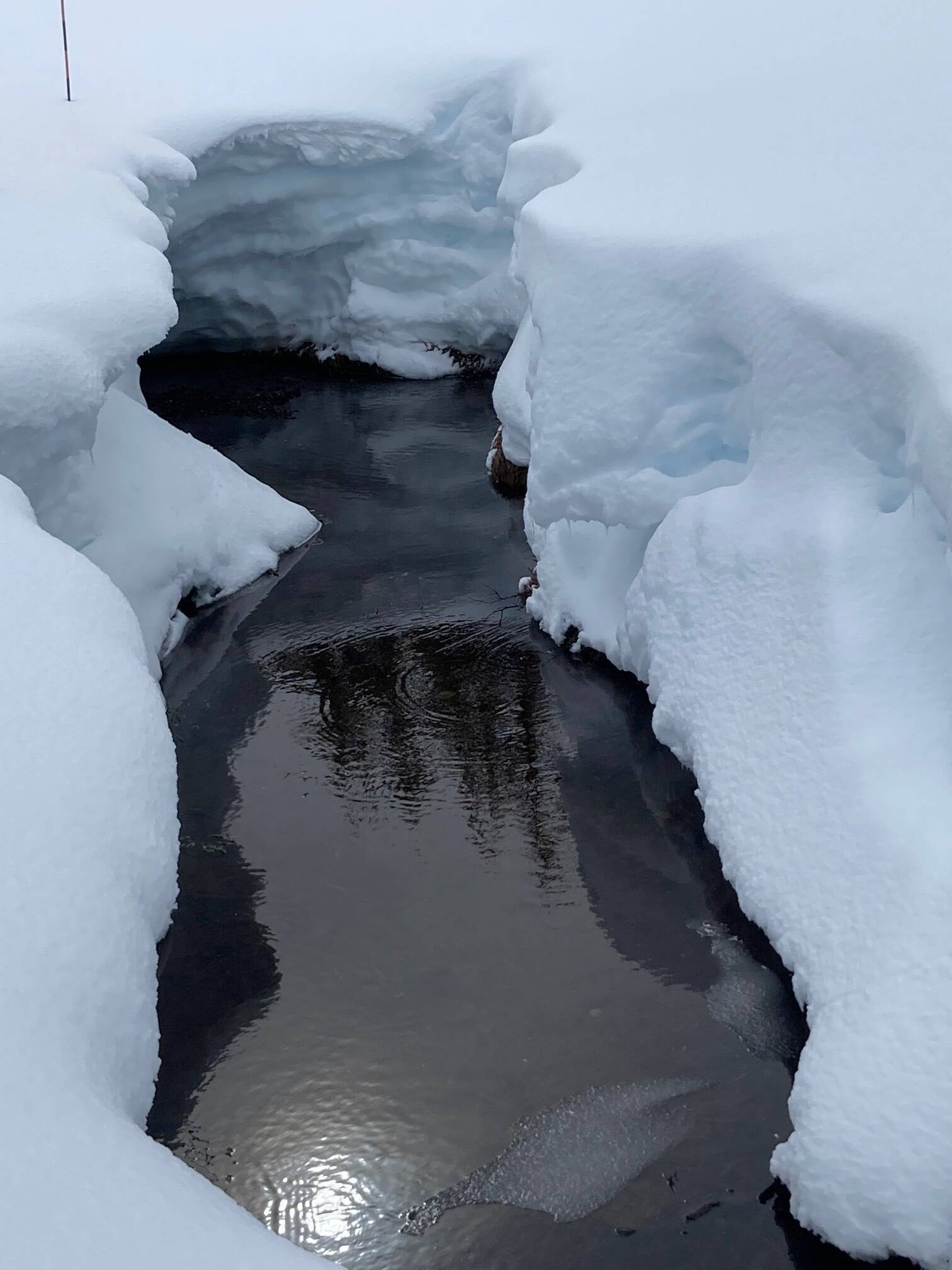 This photo taken on a recent weekend shows layers of snow along a creek at Eaglecrest. (Courtesy Photo / Deborah Rudis)