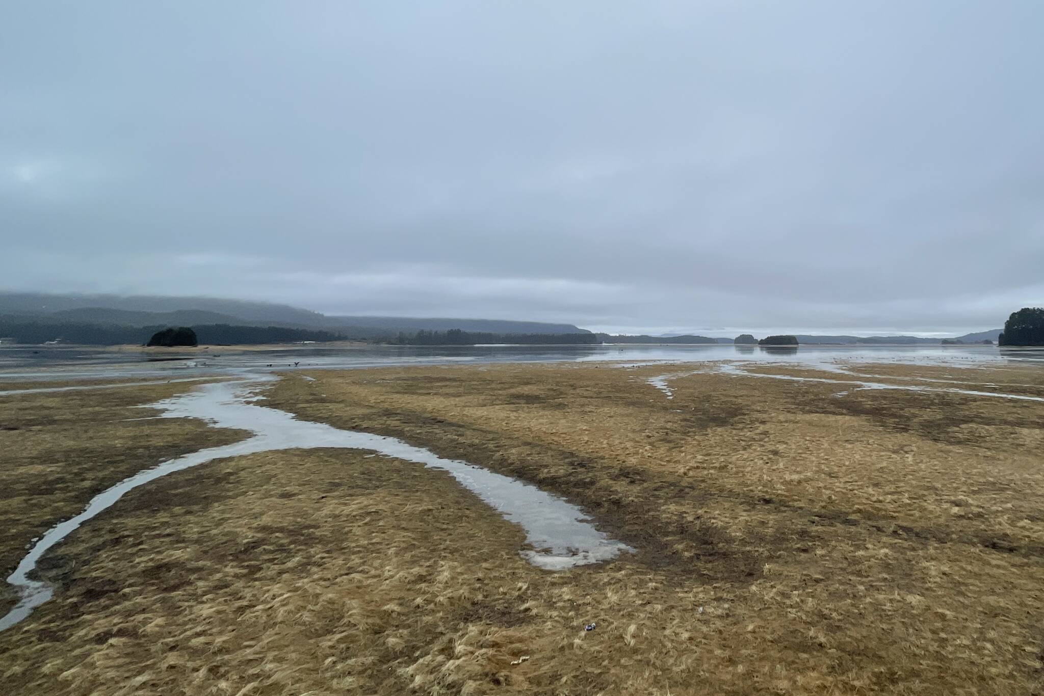 The Mendenhall Wetlands, among the lowest parts of Juneau, are still considerably higher out of the water than the area used to be, said the city’s port engineer.(Michael S. Lockett / Juneau Empire)