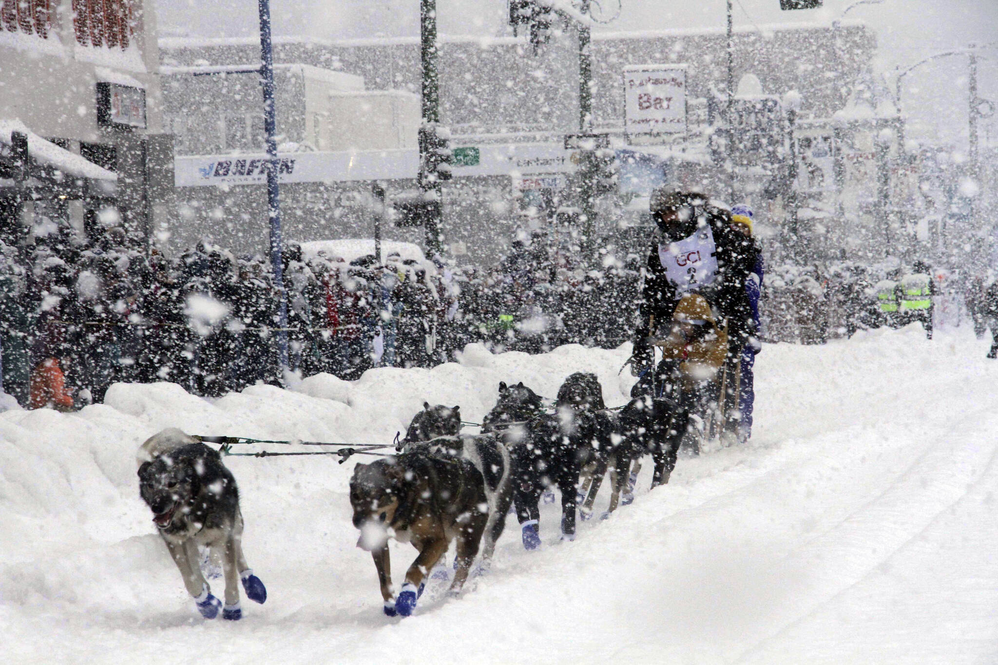 Sean Williams, a rookie musher from Chugiak, Alaska, takes his sled dogs through a snowstorm in downtown Anchorage, Alaska, on Saturday, March 5, 2022, during the ceremonial start of the Iditarod Trail Sled Dog Race. The competitive start of the nearly 1,000-mile race will be held March 6, 2022, in Willow, Alaska, with the winner expected in the Bering Sea coastal town of Nome about nine days later. (AP Photo / Mark Thiessen)