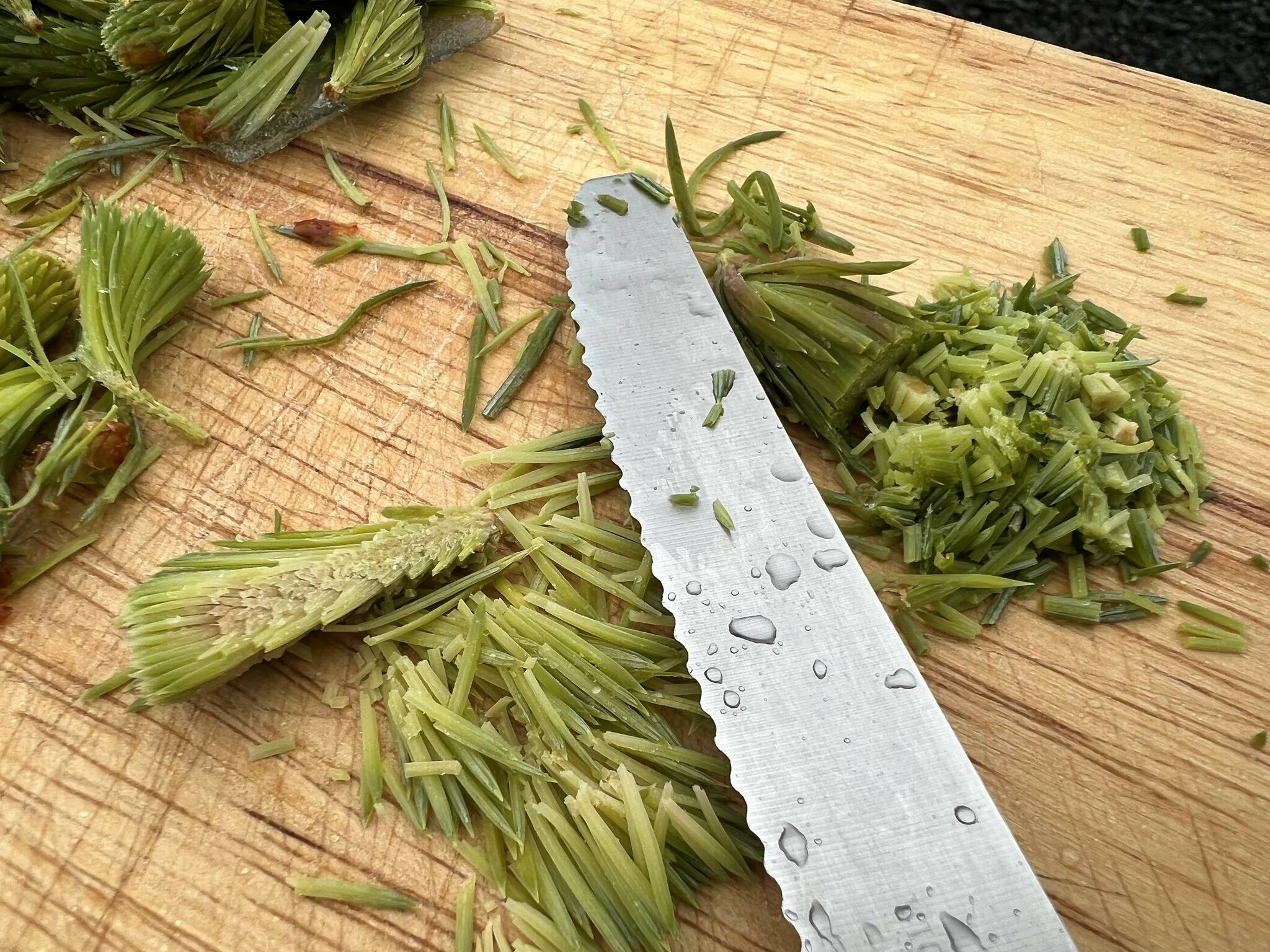 Left of knife: removing and chopping only needles, leaving the center stem. Right of knife: chopping the whole spruce tip including the stem. (Vivian Faith Prescott / For the Capital City Weekly)