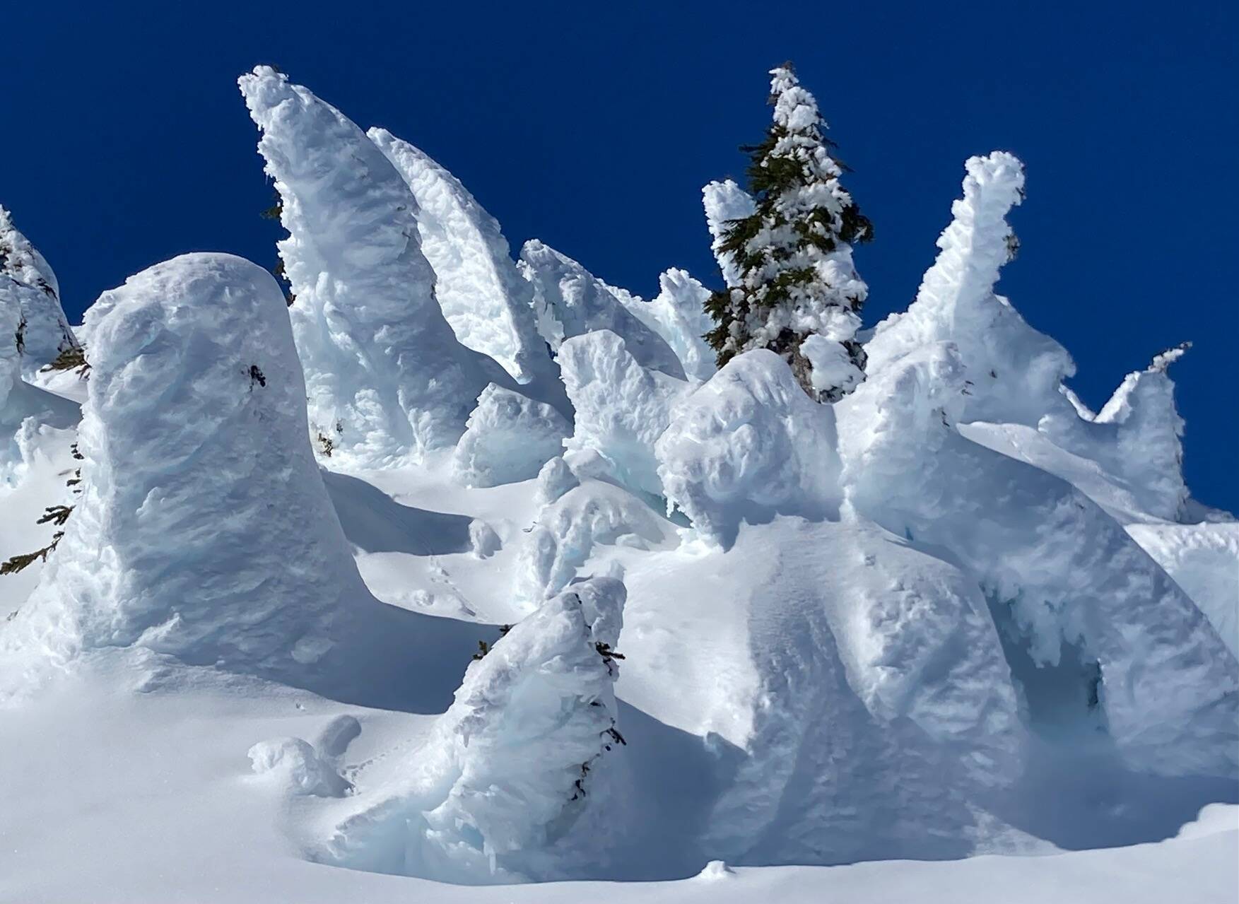 This photo shows “snow creatures at Eaglecrest,” writes Deborah Rudis. (Courtesy Photo / Deborah Rudis)