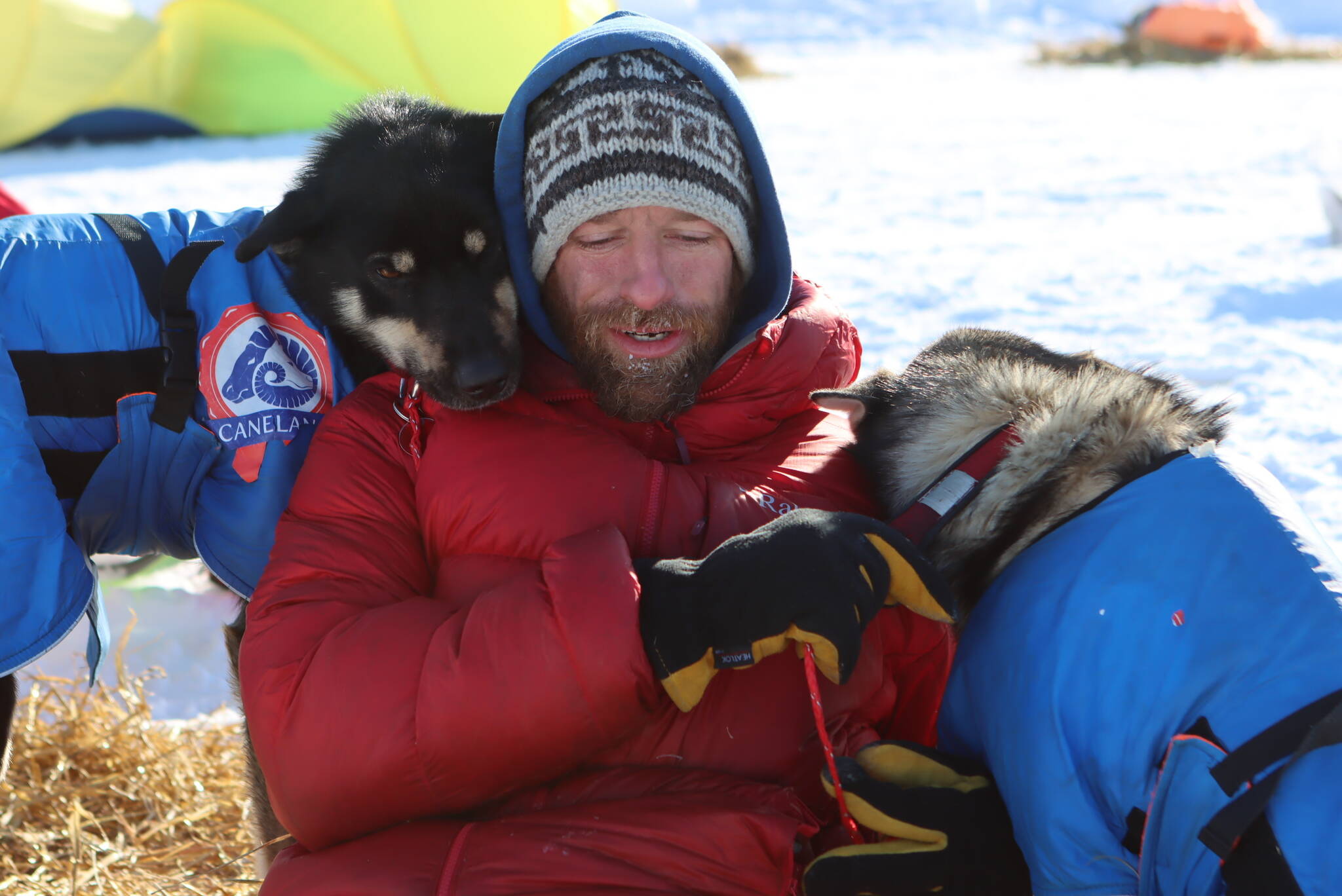 Jessie Holmes takes a break from cooking his dogs a meal to nuzzle with two wheel dogs at the Ophir checkpoint during the Iditarod Trail Sled Dog Race on Wednesday, March 10, 2021. A pack of sled dogs belonging to Holmes, Iditarod veteran and reality TV star killed a family pet in Alaska, officials said. Authorities in Wasilla are investigating a March 30, 2022 incident involving dogs owned by musher Holmes, who finished third in year’s Iditarod Trail Sled Dog Race and stars in “Life Below Zero: Alaska” on the National Geographic channel. (Zachariah Hughes/Anchorage Daily News via AP, Pool, File)