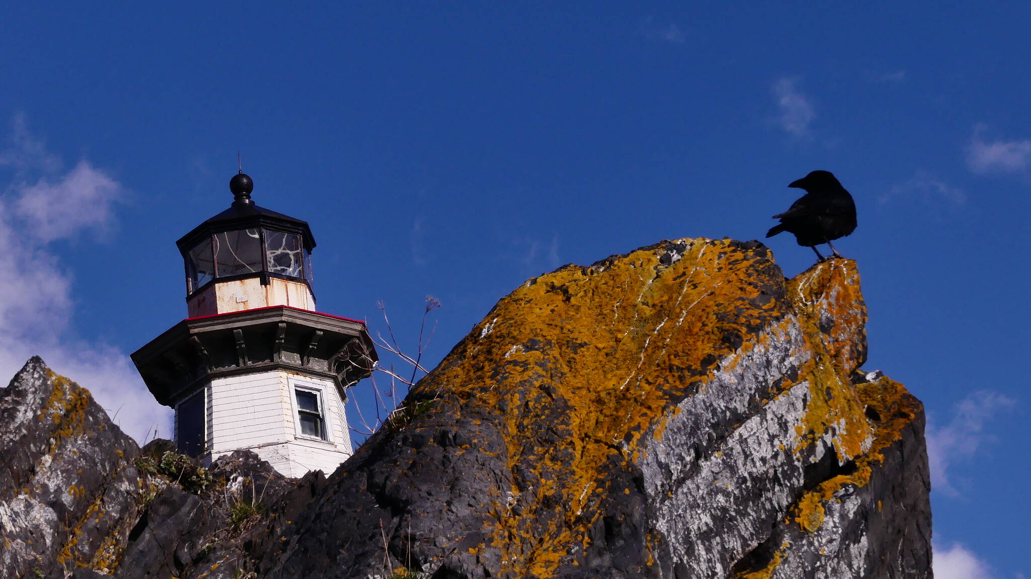 A crow watches over the Eldred Rock Lighthouse in Lynn Canal during a recent weekend. (Courtesy Photo / John Hudson)