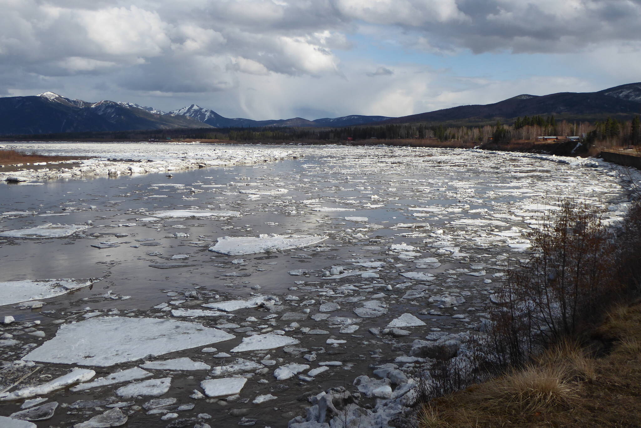 Yukon River ice flows down from the Canada portion of the river about 24 hours after the river broke up in front of Eagle, Alaska, the first U.S. town on the Yukon. (Courtesy Photo / Ned Rozell)