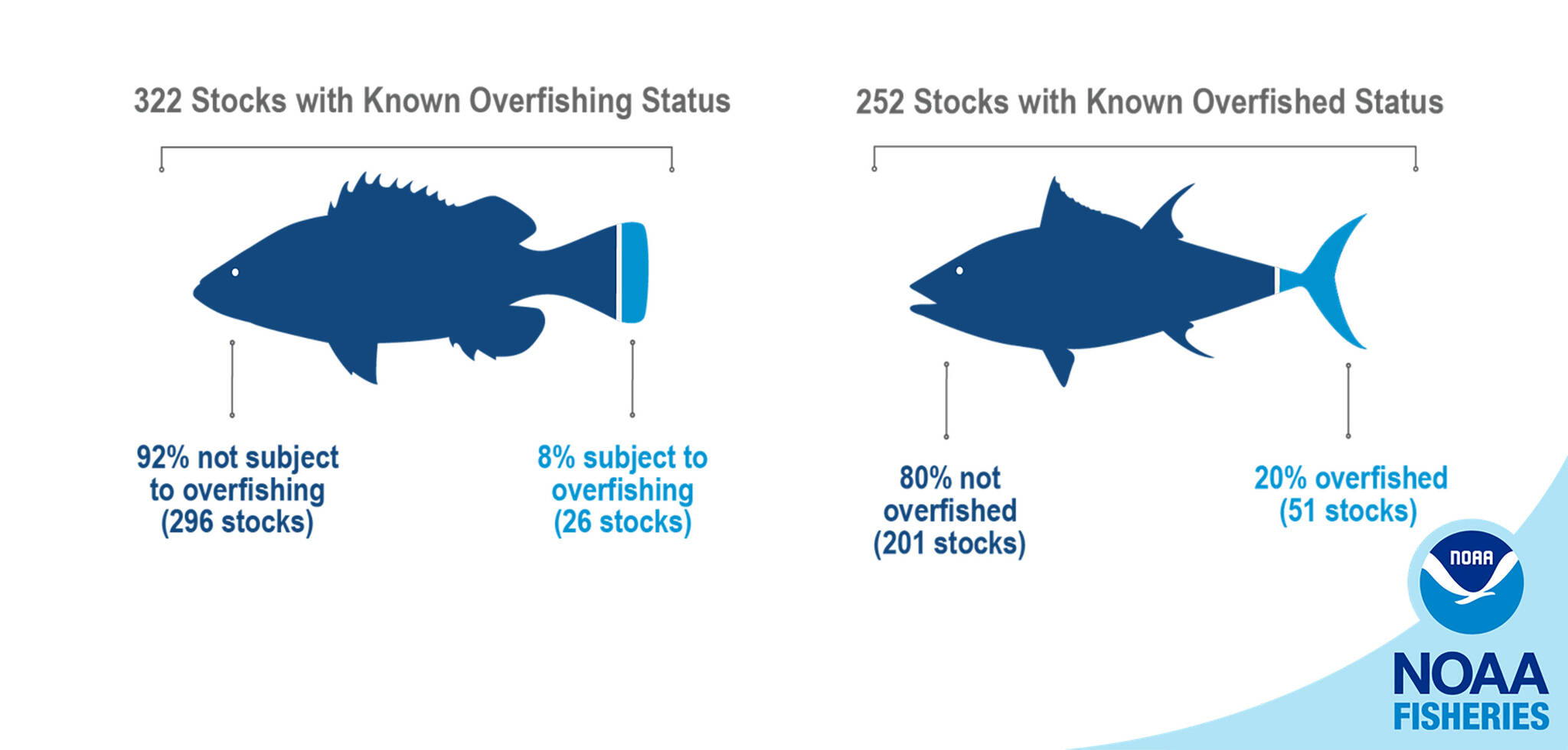 Of the more than 460 stocks managed by NOAA, 322 have a known overfishing status (296 not subject to overfishing and 26 subject to overfishing) and 252 have a known overfished status (201 not overfished and 51 overfished). (Courtesy Image / NOAA)