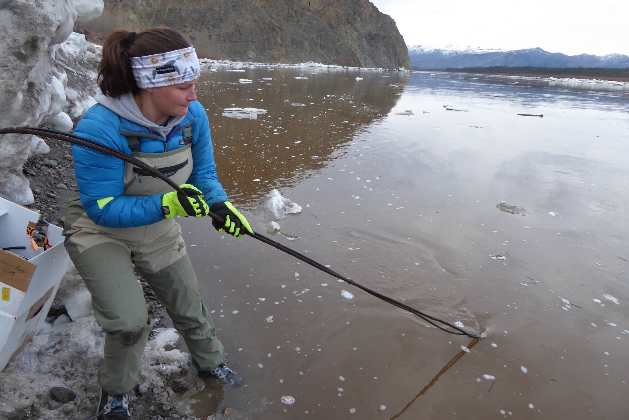 Liz Richards, a hydrologic technician for USGS, pulls in an anchor attached to a river-level measuring device from the Yukon River just downstream of Eagle, Alaska. (Courtesy Photo / Ned Rozell)