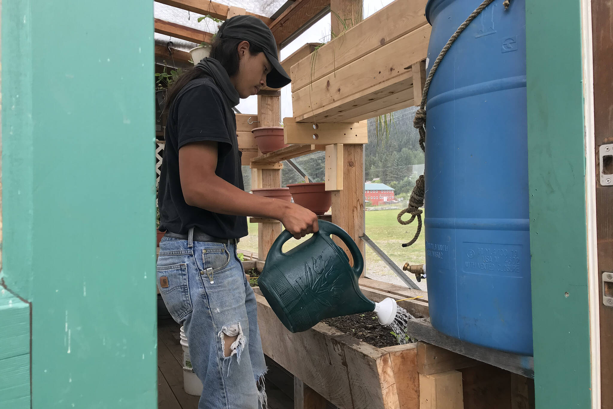 Hoonah’s Alaska Youth Stewards helped make improvements to Moby and water the plants in summer 2021. (Courtesy Photo / Jillian Schuyler)