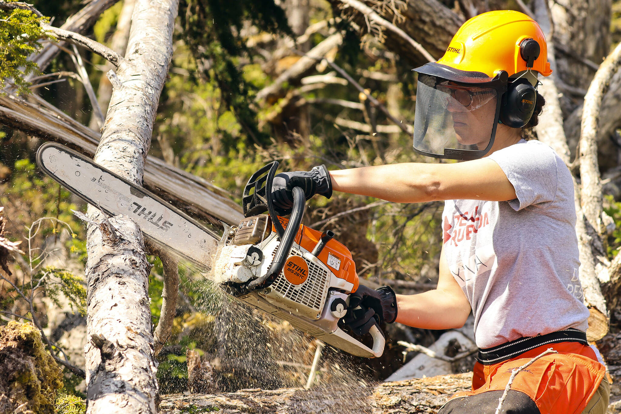 Sylvia Heinz, Team Rubicon's deputy administrator for Alaska, hones her chainsaw technique on a downed tree as part of a training event for the disaster-relief organization on Douglas Island on May 25, 2022. (Michael S. Lockett / Juneau Empire)
