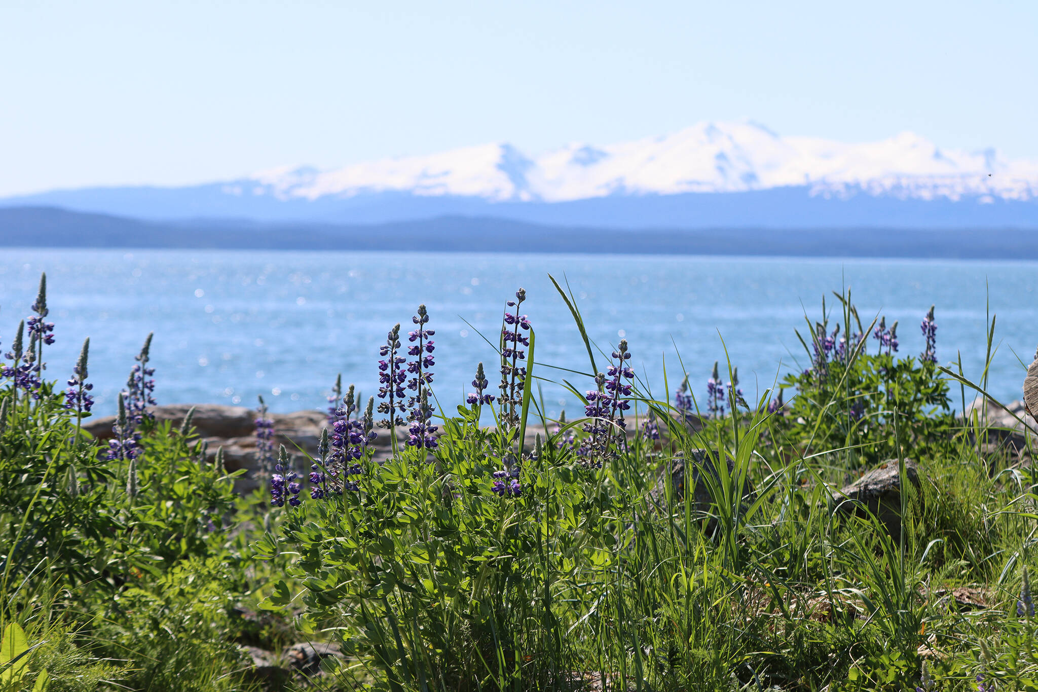 This photo shows a sun-soaked view from Point Louisa on Tuesday. According to the National Weather Service, Juneau’s sunny streak, and an accompanying heatwave, is expected to last until this weekend. (Ben Hohenstatt / Juneau Empire)