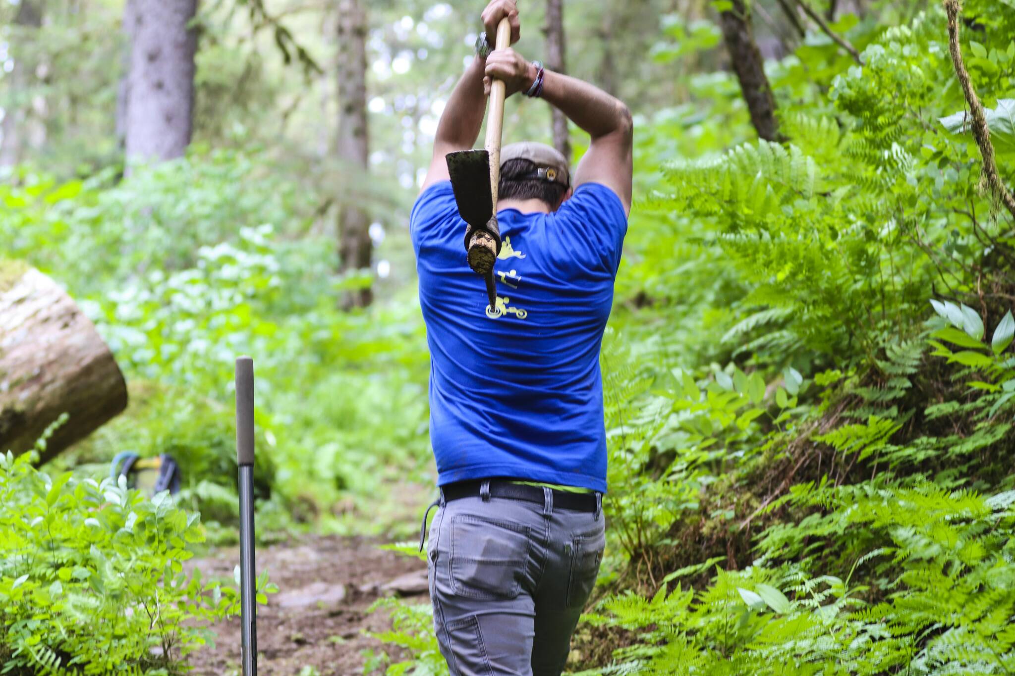 Dan Parks swings a pickax as a volunteer for Trail Mix Inc.’s National Trails Day event on Lemon Creek Trail on June 4, 2022. (Michael S. Lockett / Juneau Empire)