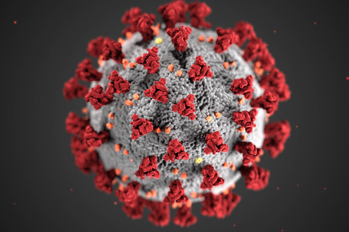 COVID-19 virus (file photo).