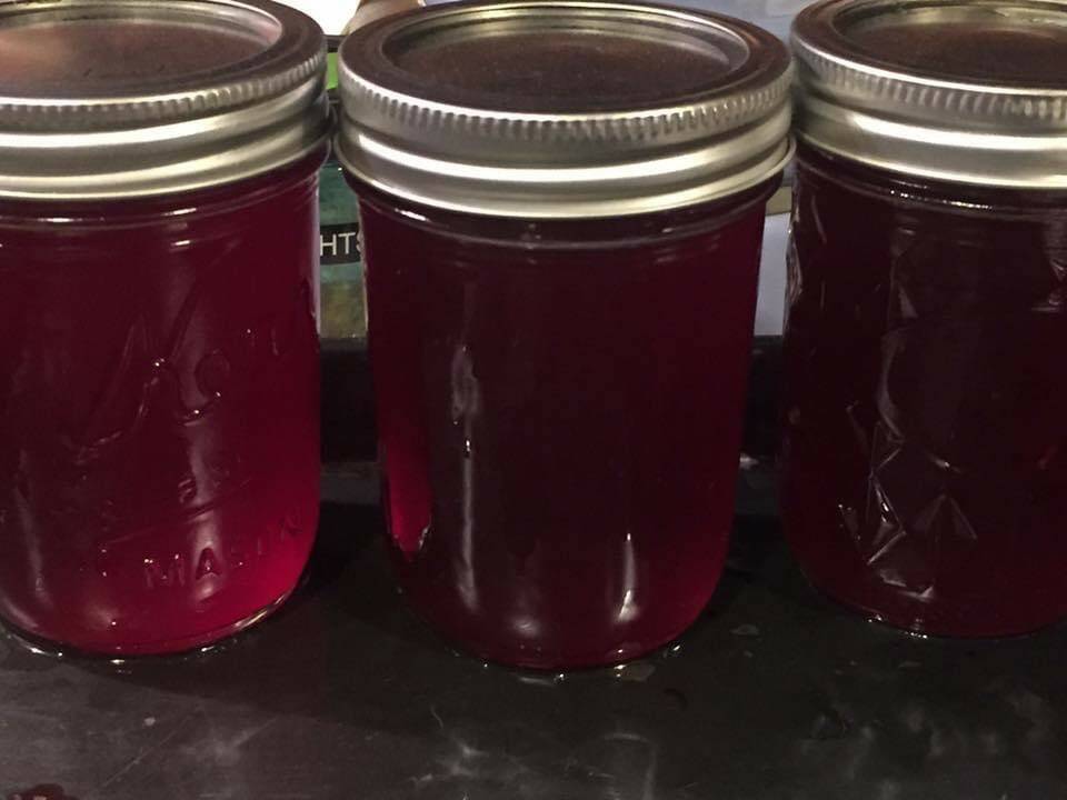 This photo shows elderberry jelly. “You really have to trust who makes you red elderberry jelly and syrup,” writes Yélk’ Vivian Mork . “There’s cyanide in the stems, root, bark and seeds.” (Yéilk’ Vivian Mork / For the Capital City Weekly)