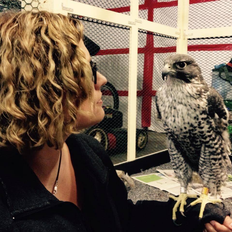 Kathy Benner, former manager of the Juneau Raptor Center, trades looks with Phil, a gyrfalcon. (Courtesy photo / Kathy Benner)