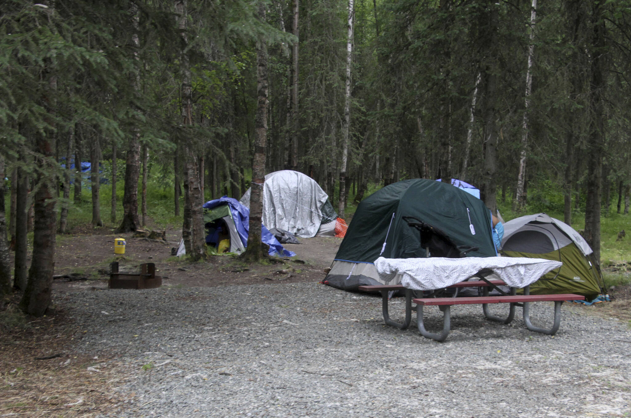 Tents are shown Wednesday, July 6, 2022, inside Centennial Park in Anchorage, Alaska. State wildlife officials have killed four black bears in a campground recently set aside for the city’s homeless population after Anchorage’s largest shelter was closed. (AP Photo / Mark Thiessen)