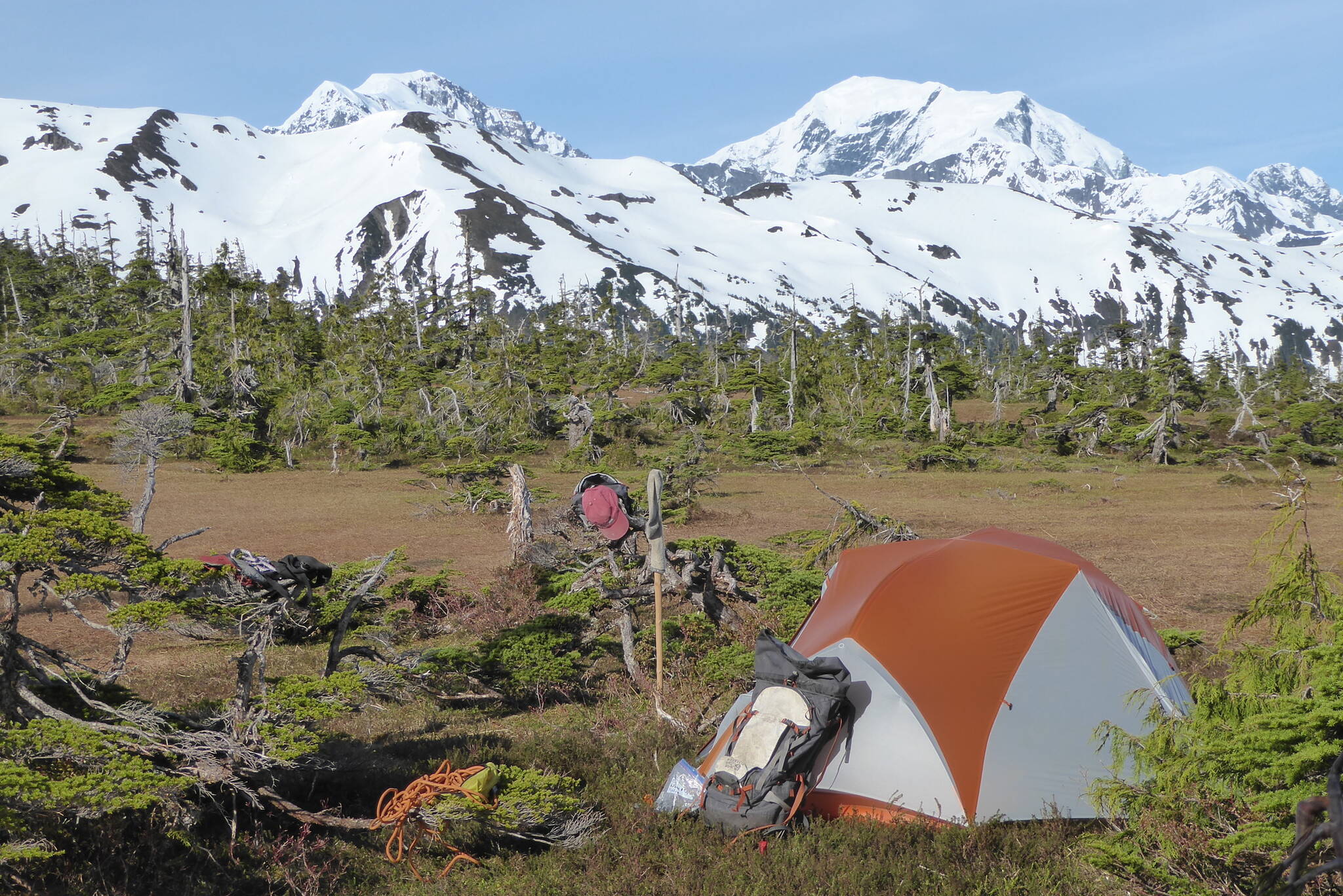 Dan Mann’s tent site on a plateau north of Lituya Bay that has risen 1,500 feet from the sea in the last 40,000 years. Photo by Ned Rozell.