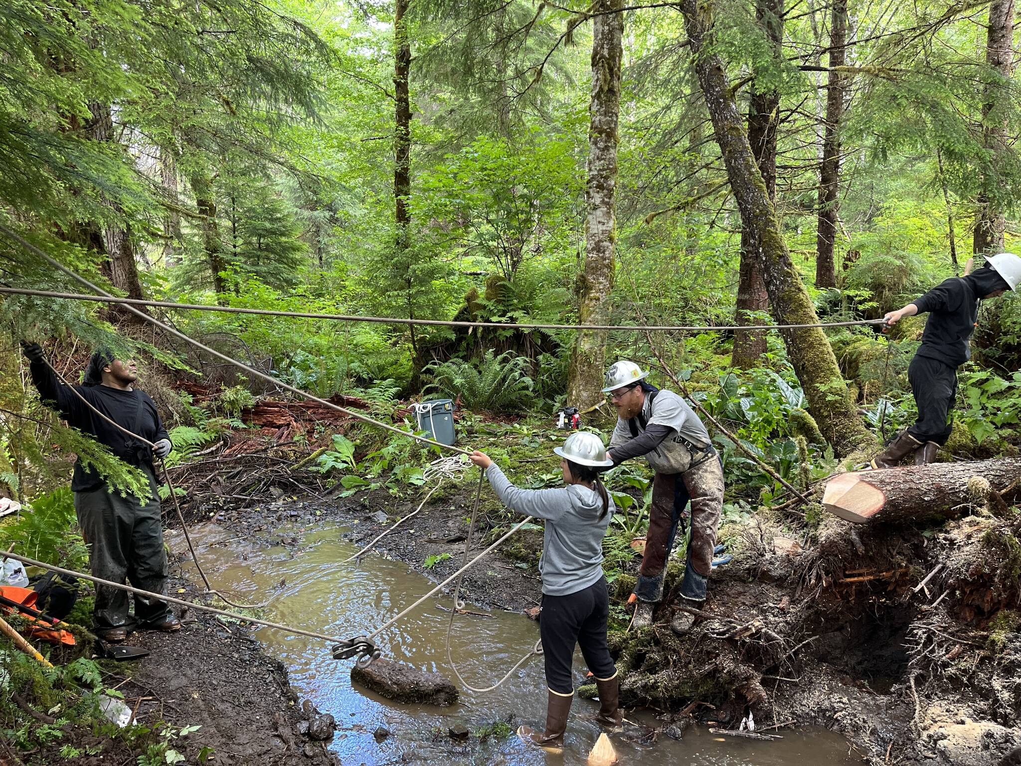 Caption: AYS students Allison Mills and Ricardo Sanchez help Quinn Aboudara rig a system to haul a log into 2.5 Mile Creek as a part of the crew’s stream restoration work (Courtesy Photo / John Hudson, SAWC)