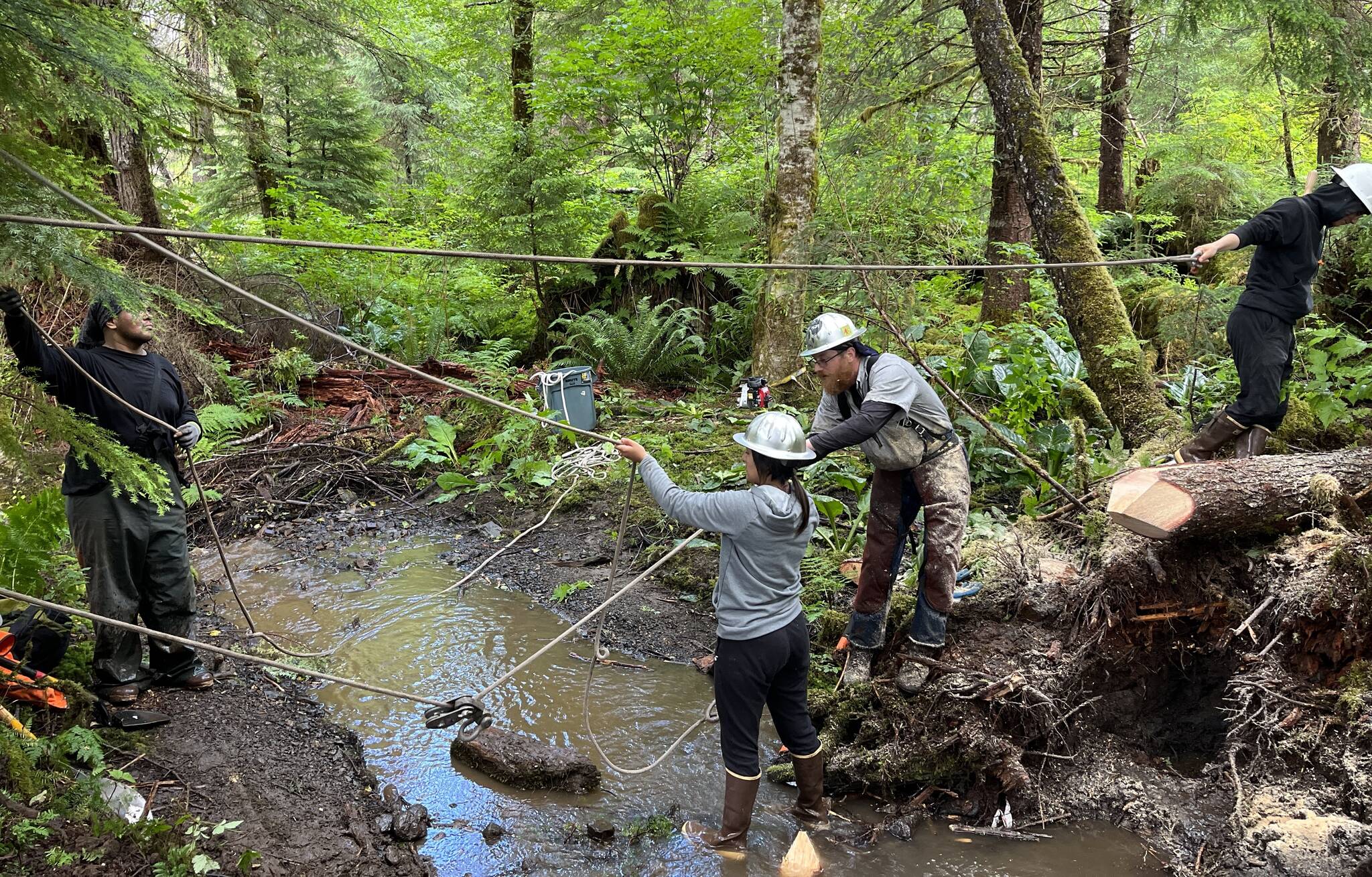 Caption: AYS students Allison Mills and Ricardo Sanches help Quinn Aboudara rig a system to haul a log into 2.5 Mile Creek as a part of the crew’s stream restoration work (Courtesy Photo / John Hudson, SAWC)