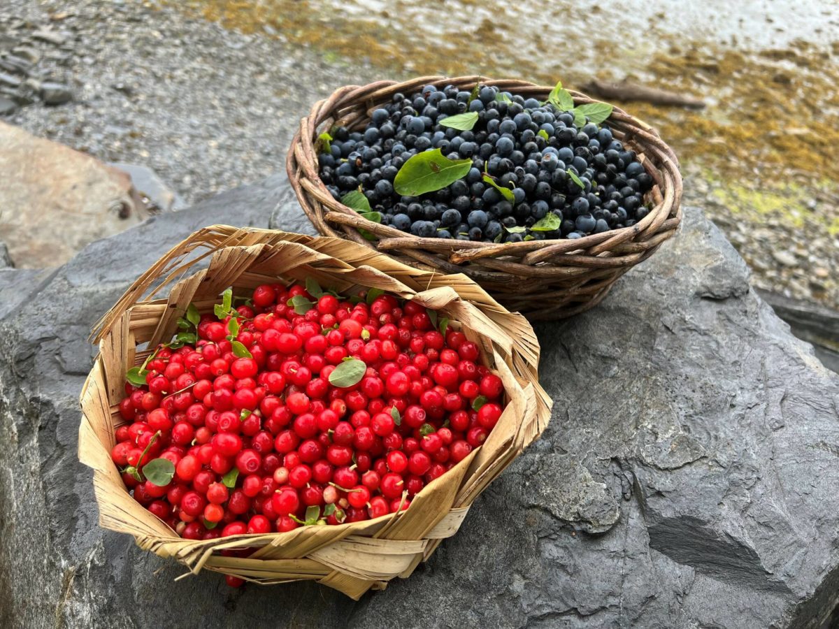 Alaska The language of berries Juneau Empire