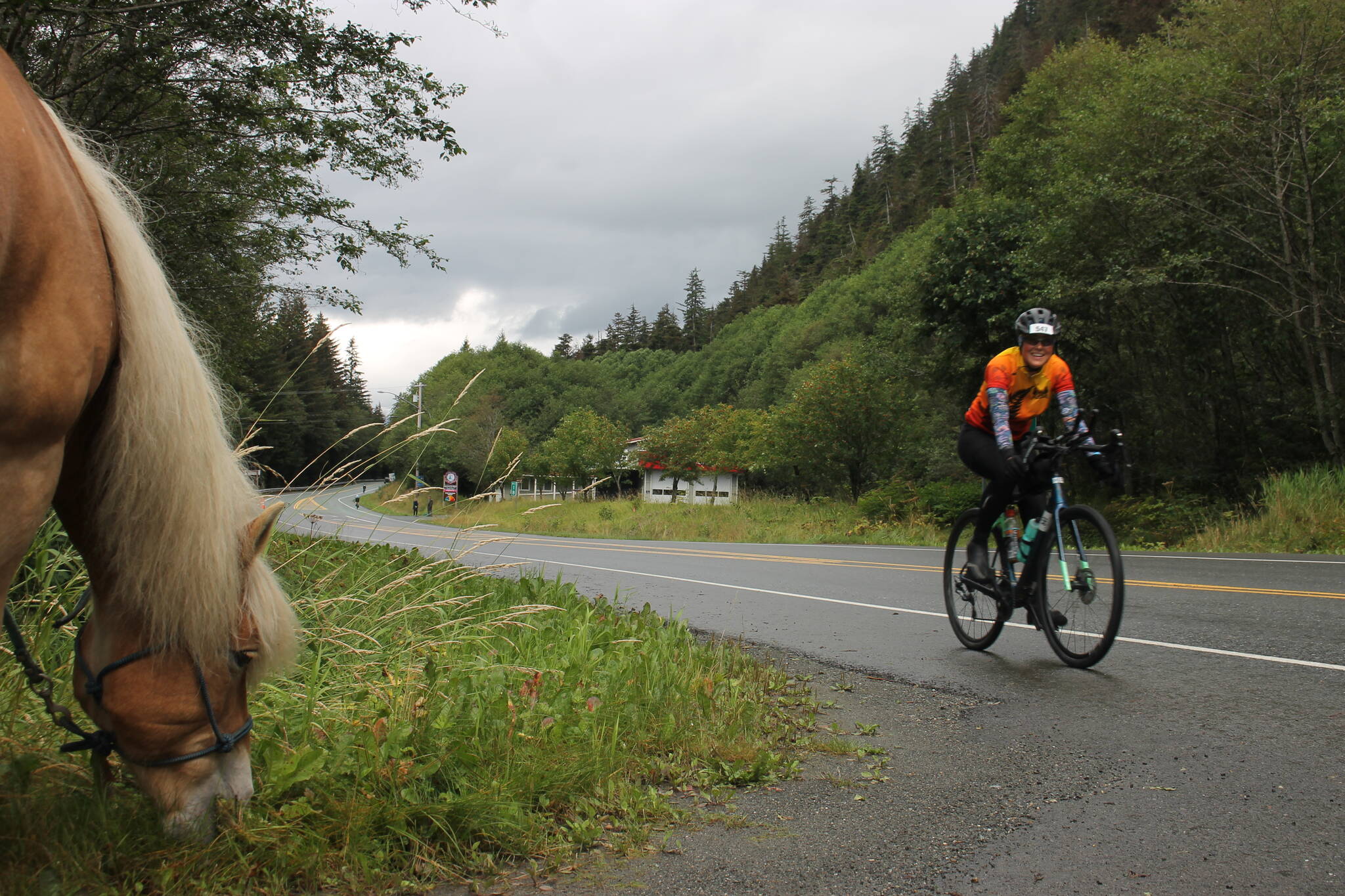 Mr. Higgins, a large pony at Ridge Stables LLC owned by Chava Lee, munches on some grass as a smiling biker passes by. (Clarise Larson/ Juneau Empire)