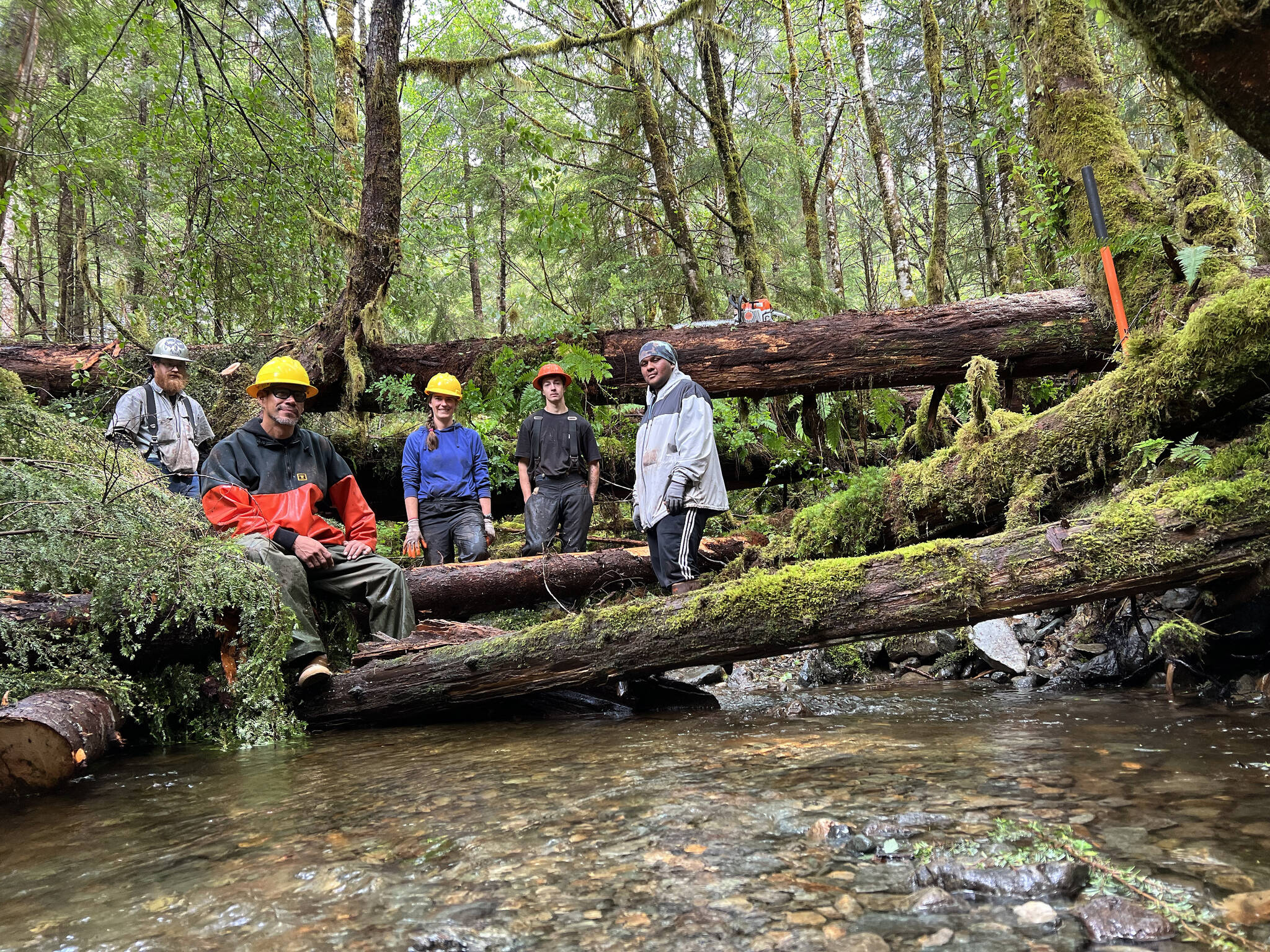 From left to right, Quinn Aboudara of Klawock Indigenous Stewards Forest Partnership, Rick Jackson of Keex’ Kwáan, Kelsey Dean of the Southeast Alaska Watershed Coalition, Cody Ellison of the Klawock partnership, and Kaagwaan Eesh Manuel Rose-Bell of Keex’ Kwáan pose at a recently completed stream structure. For thousands of years, old growth trees and branches fell into what is now Seven Mile Creek. When it was clear-cut logged in 1987, the stream habitat was drastically simplified, to the detriment of wild salmon and other fish. (Courtesy Photos / Mary Catharine Martin)