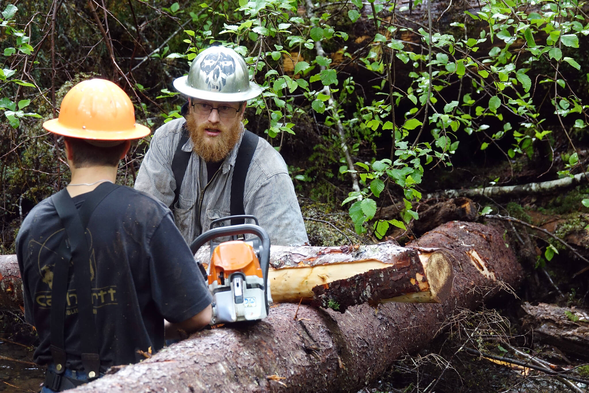Cody Ellison and Quinn Aboudara of the Klawock Indigenous Stewards Forest Partnership consult on next steps for getting this particular log pictured into place. The Klawock partnership officially got off the ground in April with funding from the USDA’s sustainability strategy. (Courtesy Photos / Mary Catharine Martin)