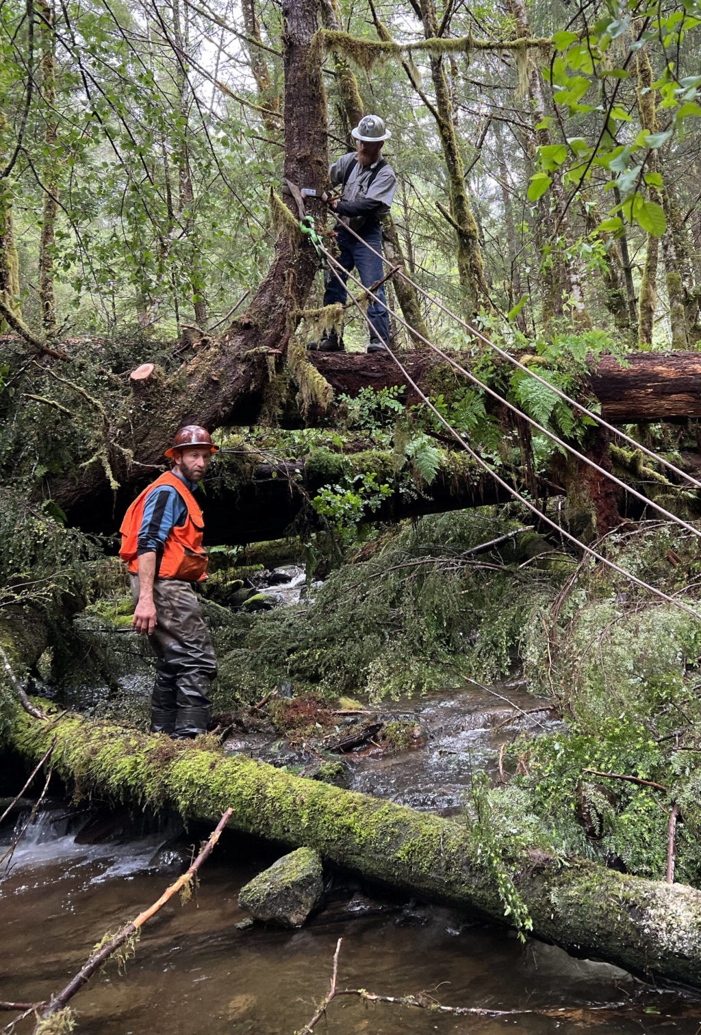 The SalmonState Bringing the sockeye home Juneau Empire