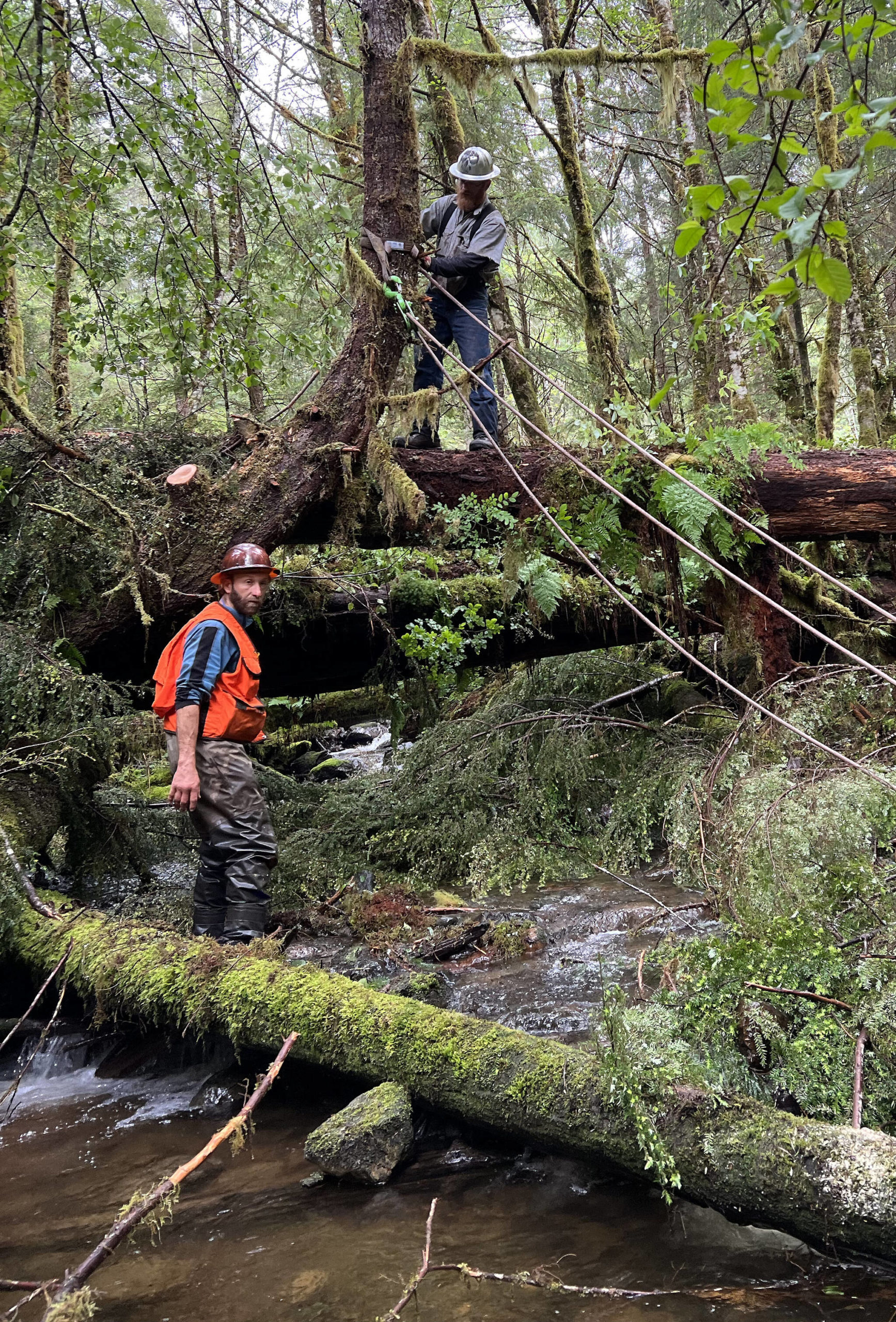 Rob Cadmus, Executive Director of the Southeast Alaska Watershed Coalition, and Quinn Aboudara of the Klawock Indigenous Stewards Forest Partnership work together on restoring fish habitat at Seven Mile Creek just outside Klawock Lake.