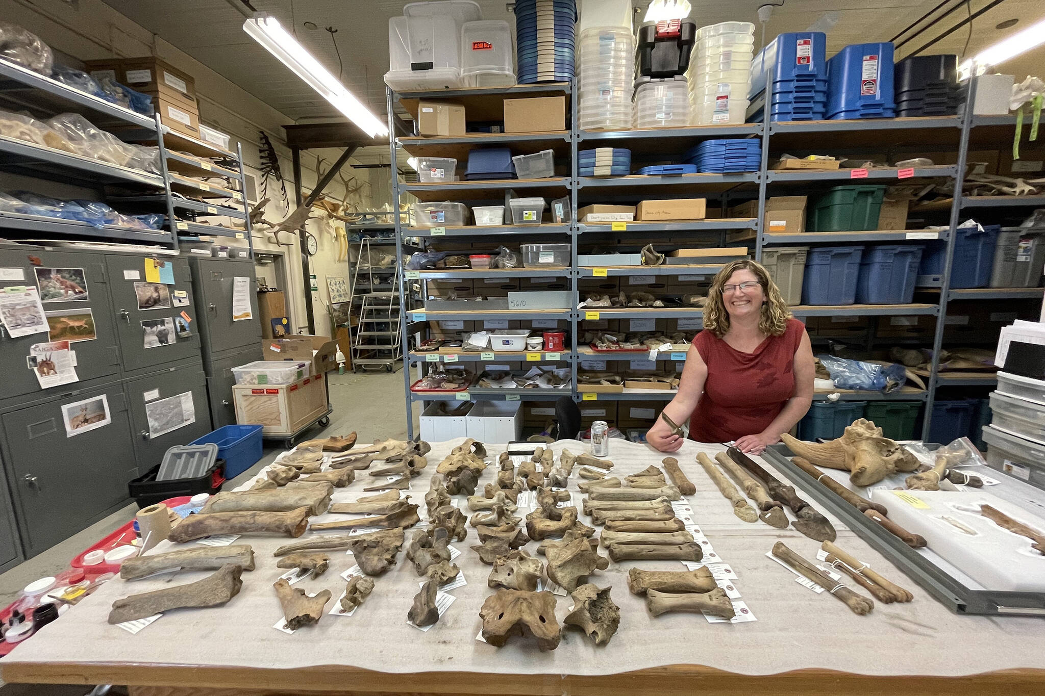 Elizabeth Hall, assistant paleontologist for the Yukon government in Whitehorse, stands in her office laboratory.  (Courtesy Photo / Ned Rozell)