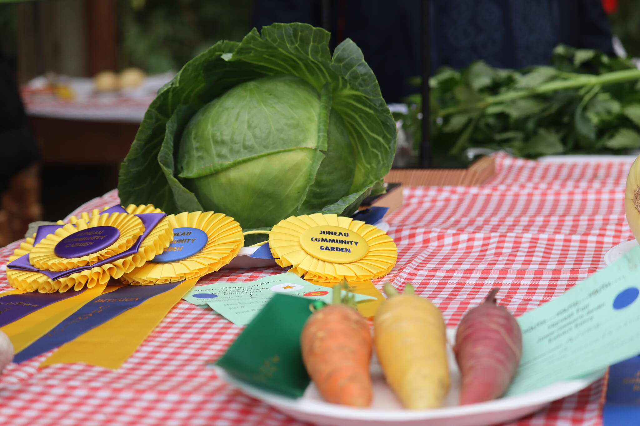 Prizes were awarded for many different categories on Saturday at Juneau Community Garden’s Annual Harvest Fair. (Jonson Kuhn / Juneau Empire)
