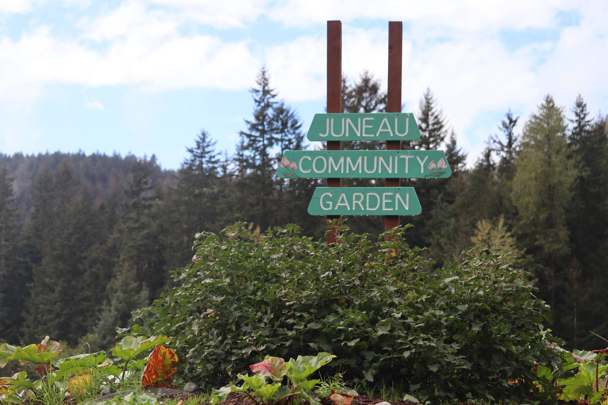 The Juneau Community Garden’s Harvest Fair held Saturday is an annual event. Garden plots are open to the public, and applciations are being accepted. (Jonson Kuhn / Juneau Empire)