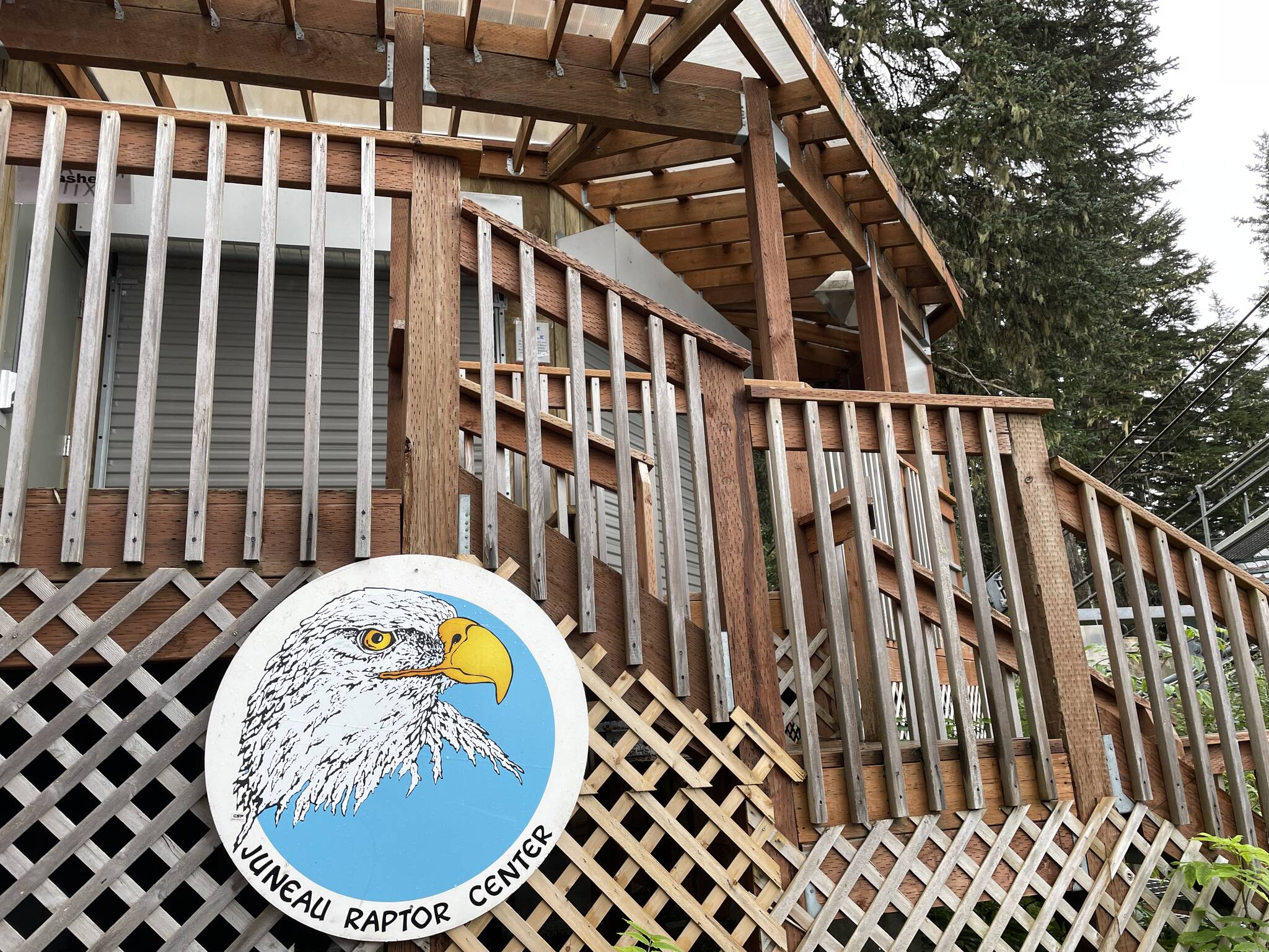 In a letter shared to the public on Monday, Juneau Raptor Center President Dale Cotton announced “it is with great sorrow” that the center has decided to suspend its operations in Juneau after 35 years of service. (Michael S. Lockett / Juneau Empire )