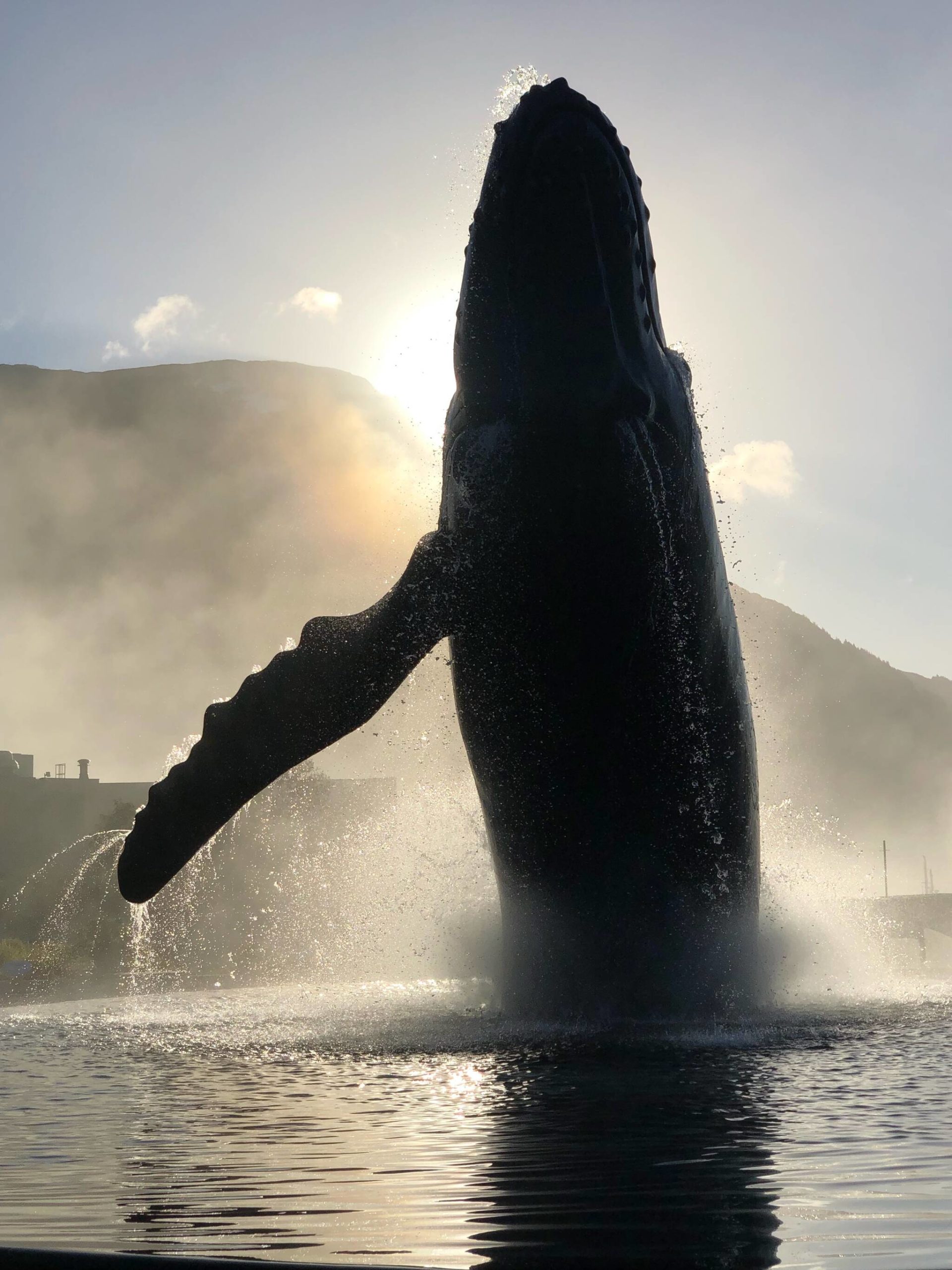 Tahku the Whale Sculpture blots out the sun. (Courtesy Photo / Alissa Noe)