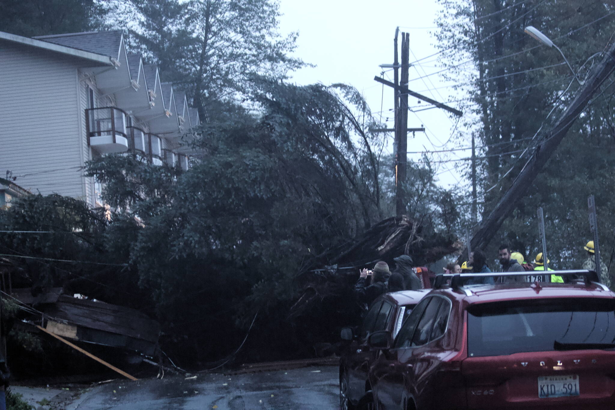 A tree lies across Gastineau Avenue on Monday evening after falling between two homes and crushing at least one vehicle. Firefighters and police closed the street to traffic, and evacuated homes along the street as well as buildings extending down to Franklin Avenue. The evacuation is expected to last at least 24 hours. (Mark Sabbatini / Juneau Empire)