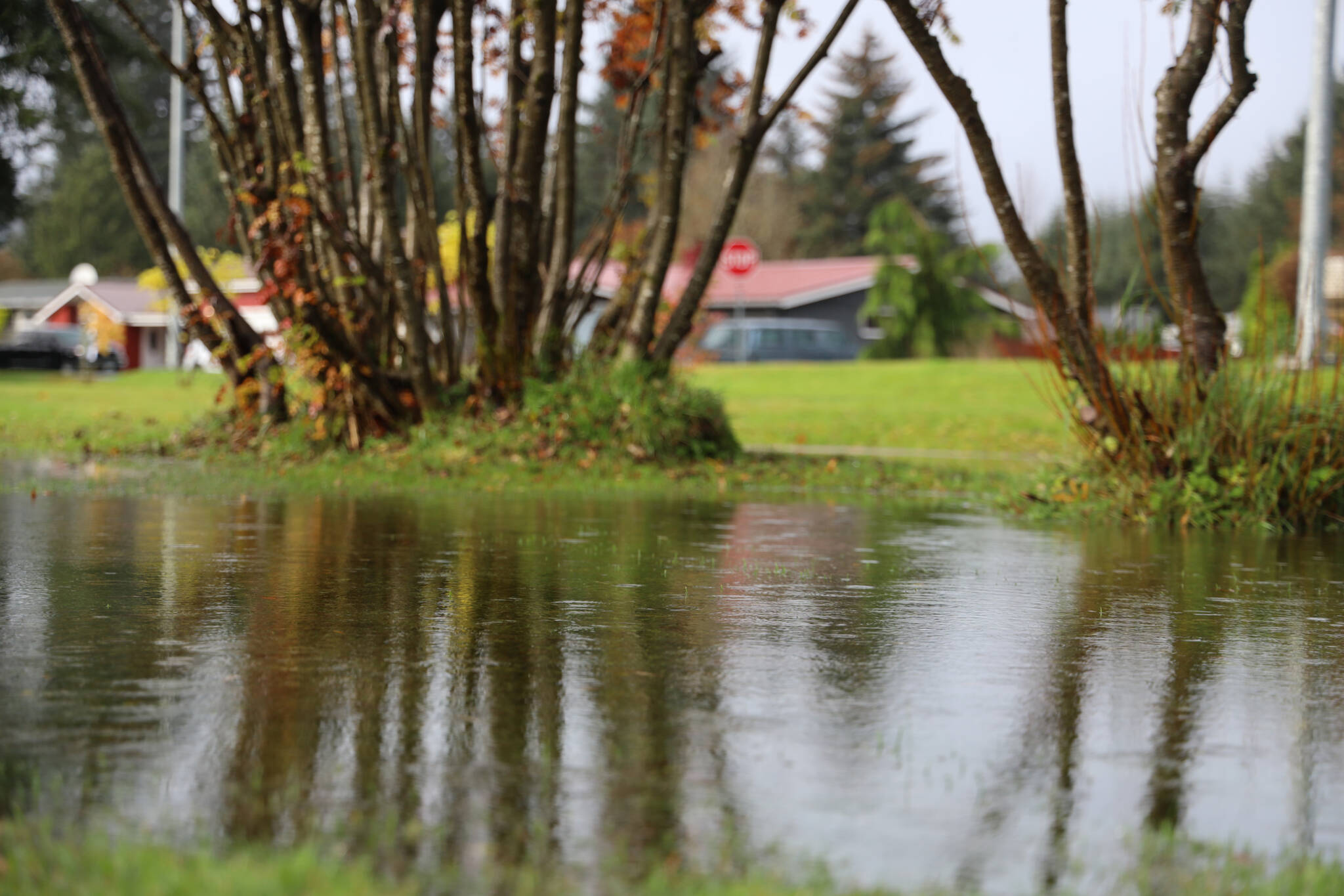 Rain forms a puddle in a field of grass in the Valley area Thursday afternoon. Juneau recorded 1.28 inches of rain and a peak wind speed of 55 mph and a sustained wind of 41 mph in the past 24 hours. (Clarise Larson / Juneau Empire)