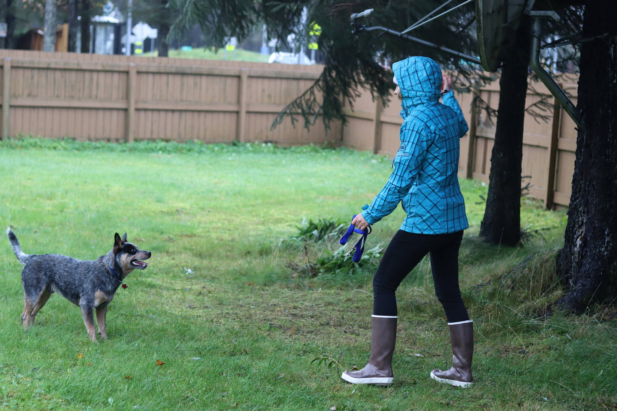 Olena Pomynalnyi tosses a ball to a dog in the back yard of the Mendenhall Valley home her family hopes to live in for at least the next two years. (Mark Sabbatini / Juneau Empire)