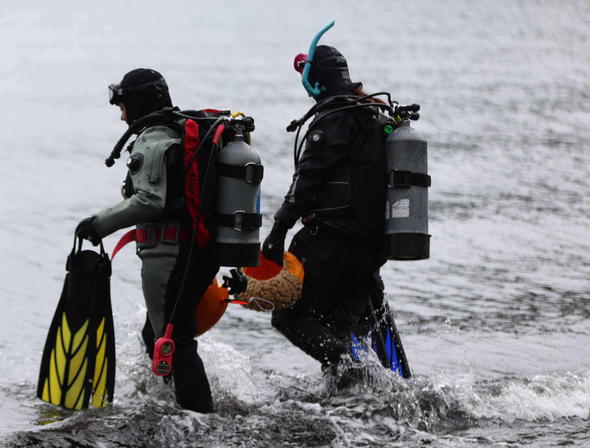 Divers make their way into the water at Auke Rec to carve their pumpkins. (Ben Hohenstatt / Juneau Empire)