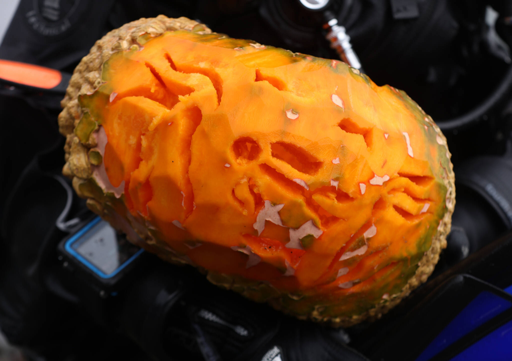 Muriel Dittrich’s pumpkin won Best In Show at an underwater pumpkin carving event held Sunday at Auke Rec. (Ben Hohenstatt / Juneau Empire)