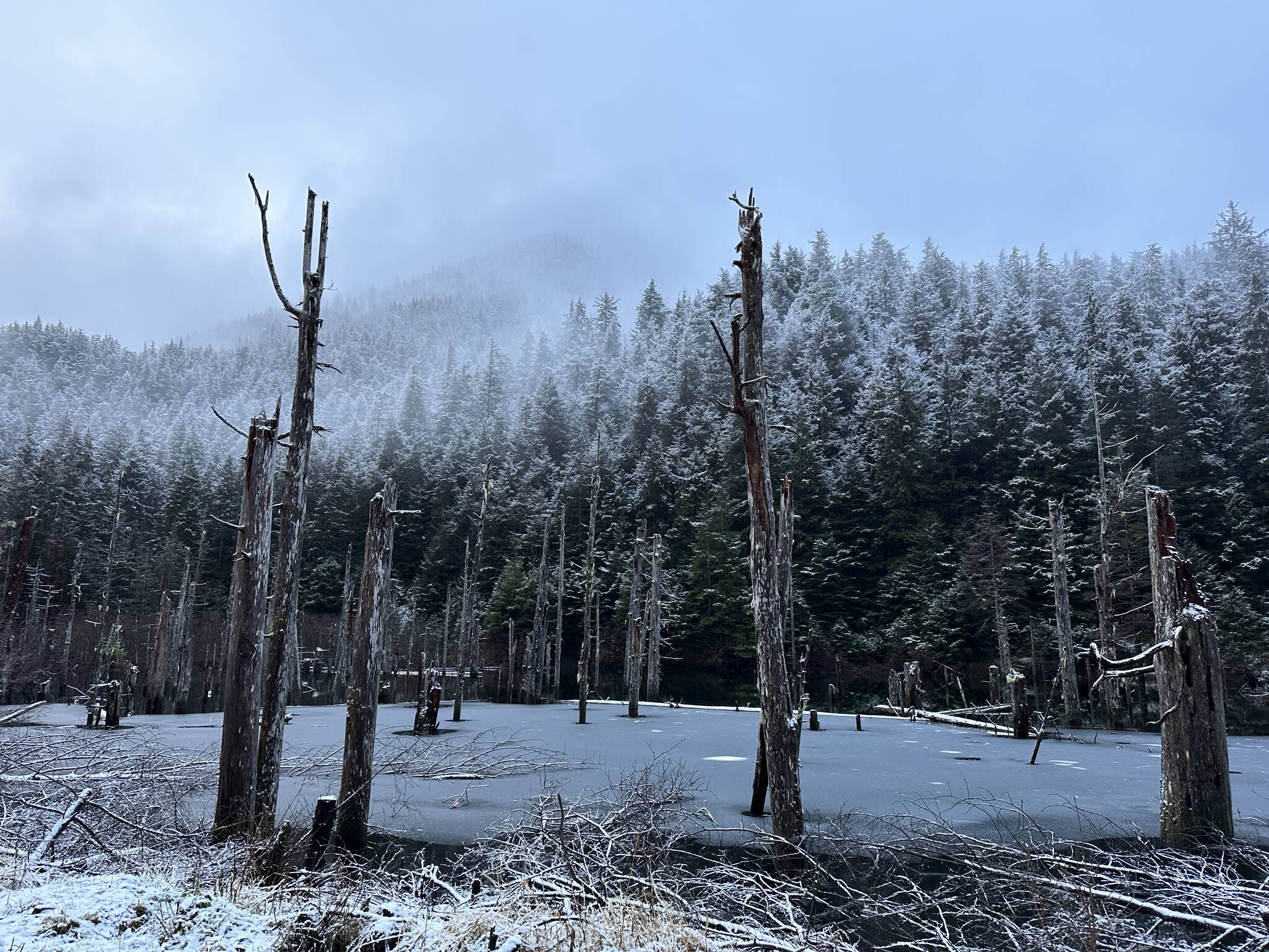 This photo shows the old dead tree pond along the Salmon Creek Dam Trail. (Courtesy Photo / Deana Barajas)