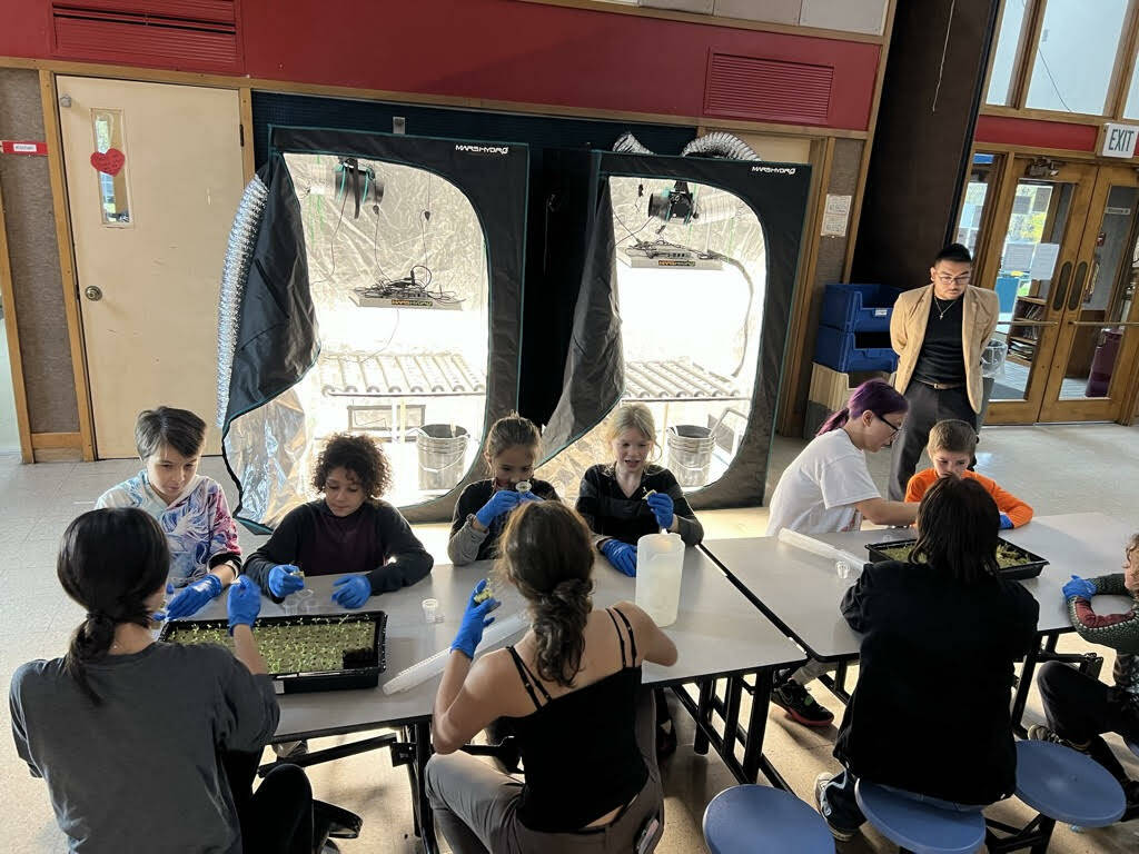 Students work with hydroponic units during class at Chatham School District students. Angoon agroscience hydroponic cultivation class Haa Aani’: Haa Yaasi’ Haa (Our Land, Our Harvest) is now in its second year of operation. (Courtesy / Ryan Smith)