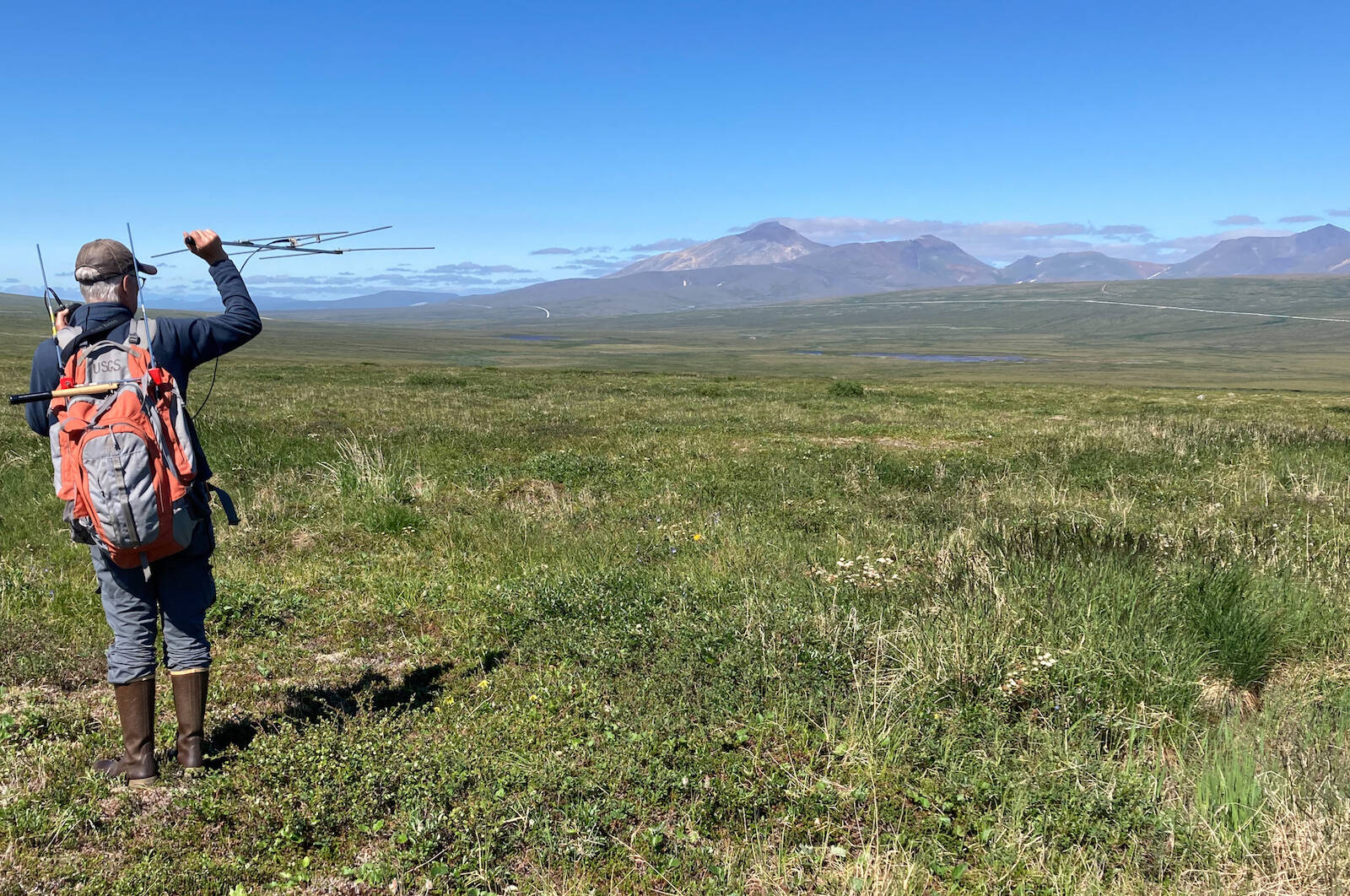 Bird researcher Jesse Conklin uses a radio antenna to relocate young bar-tailed godwits outside Nome on July 15, 2022. One of the birds Conklin and Dan Ruthrauff fitted with a satellite transmitter that day later flew from Alaska to Tasmania in a nonstop 11-day trip. (Courtesy Photo / Dan Ruthrauff)