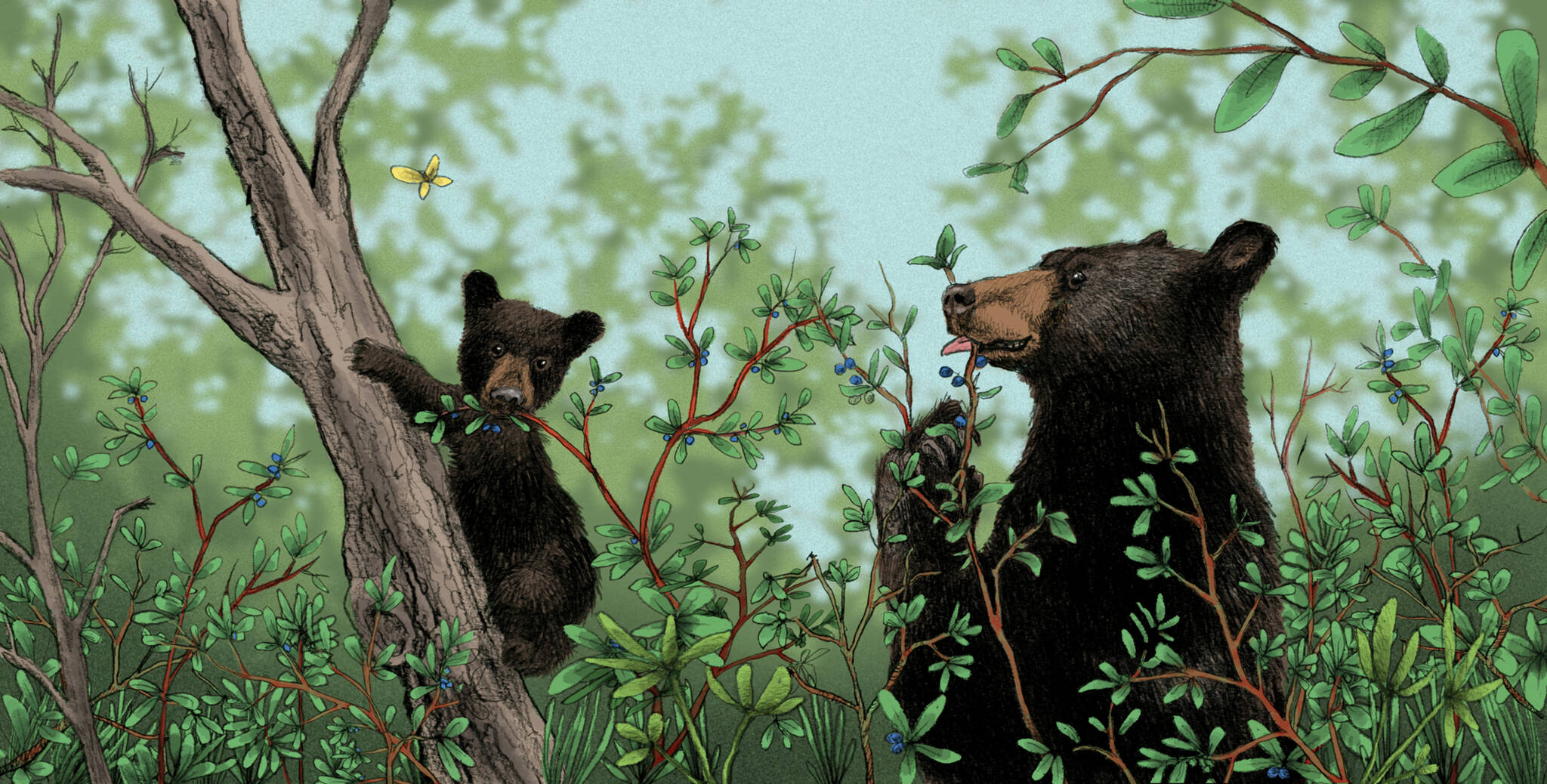 An illustration from Author Sarah Asper-Smith and illustrator Mitchell Watley’s children’s picture book, “I Would Teach You to Fly” depicts two bears. The married couple’s latest collaboration is just one of many attractions to be featured at Juneau’s Gallery Walk 2022 on Friday, Dec. 2. (Courtesy Photo / Sarah Asper-Smith)