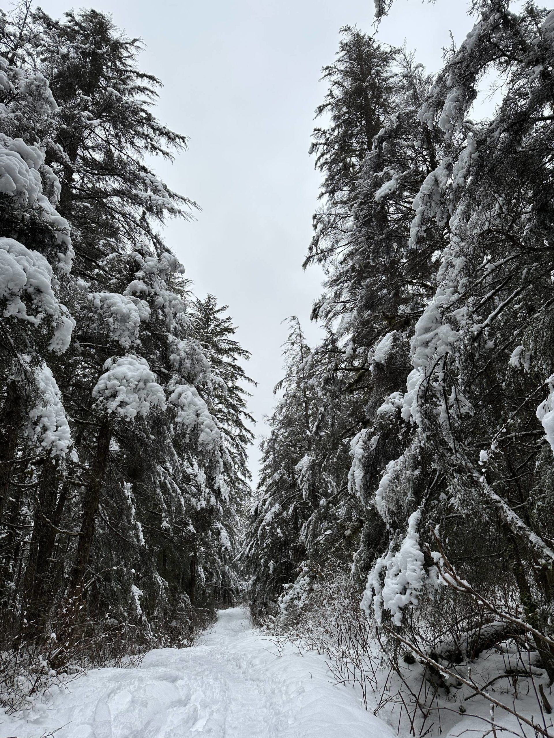 This photo shows a snowy New Year’s Eve scene on the Auk Nu Trail. (Courtesy Photo / Deana Barajas)
